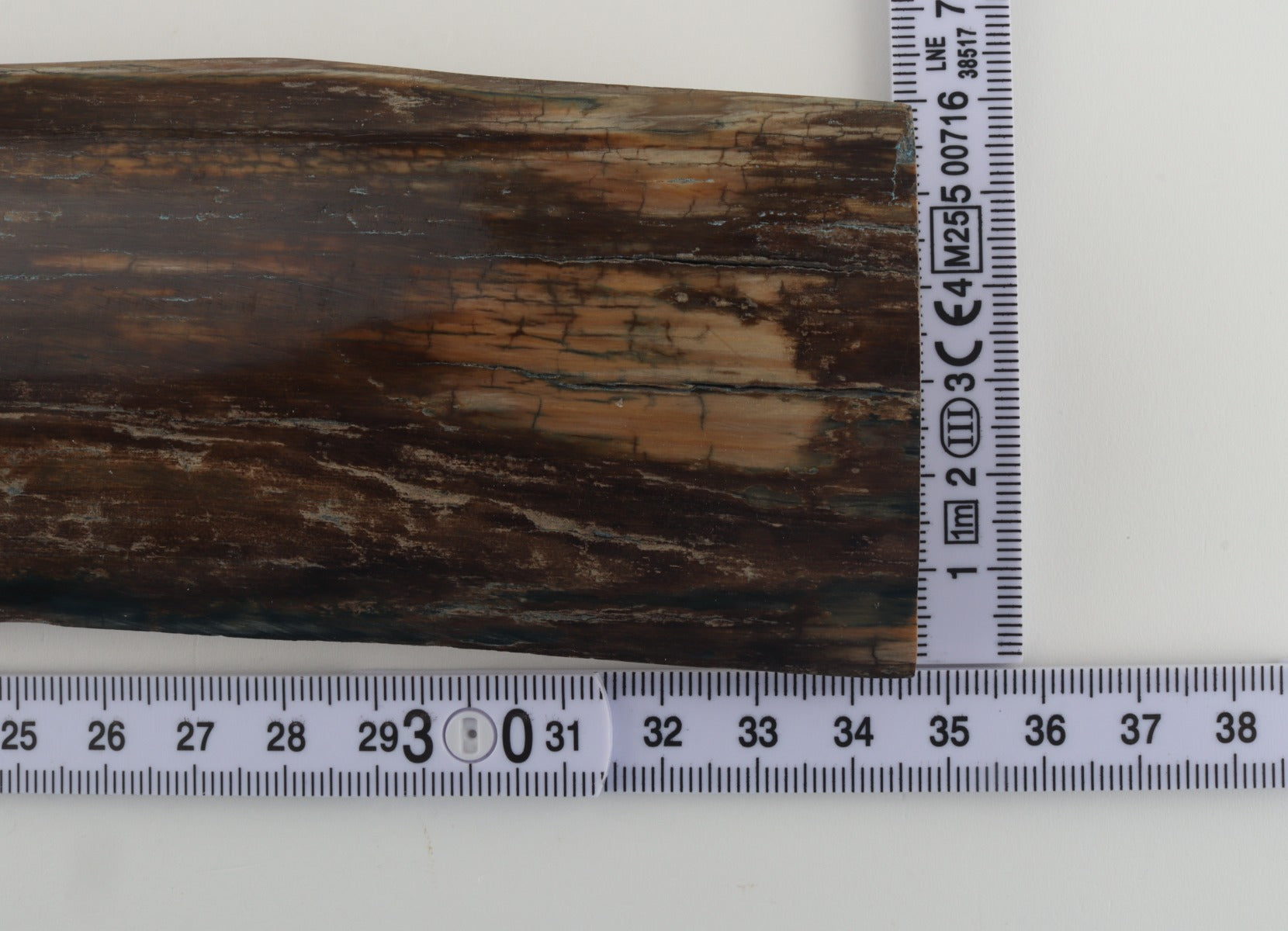 Brown mammoth bark