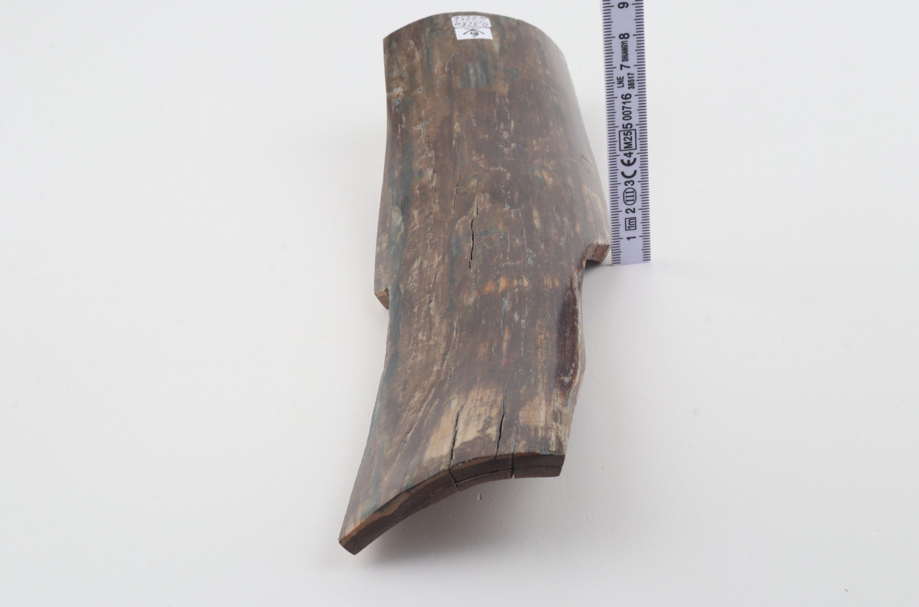 Brown mammoth bark