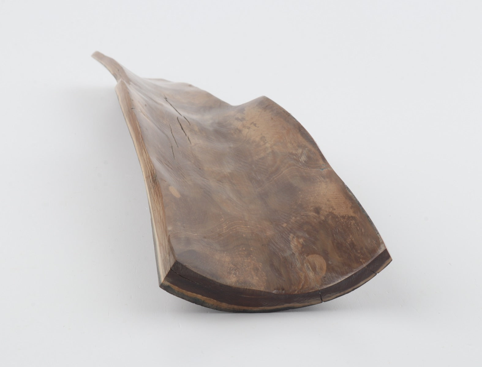 Brown mammoth bark