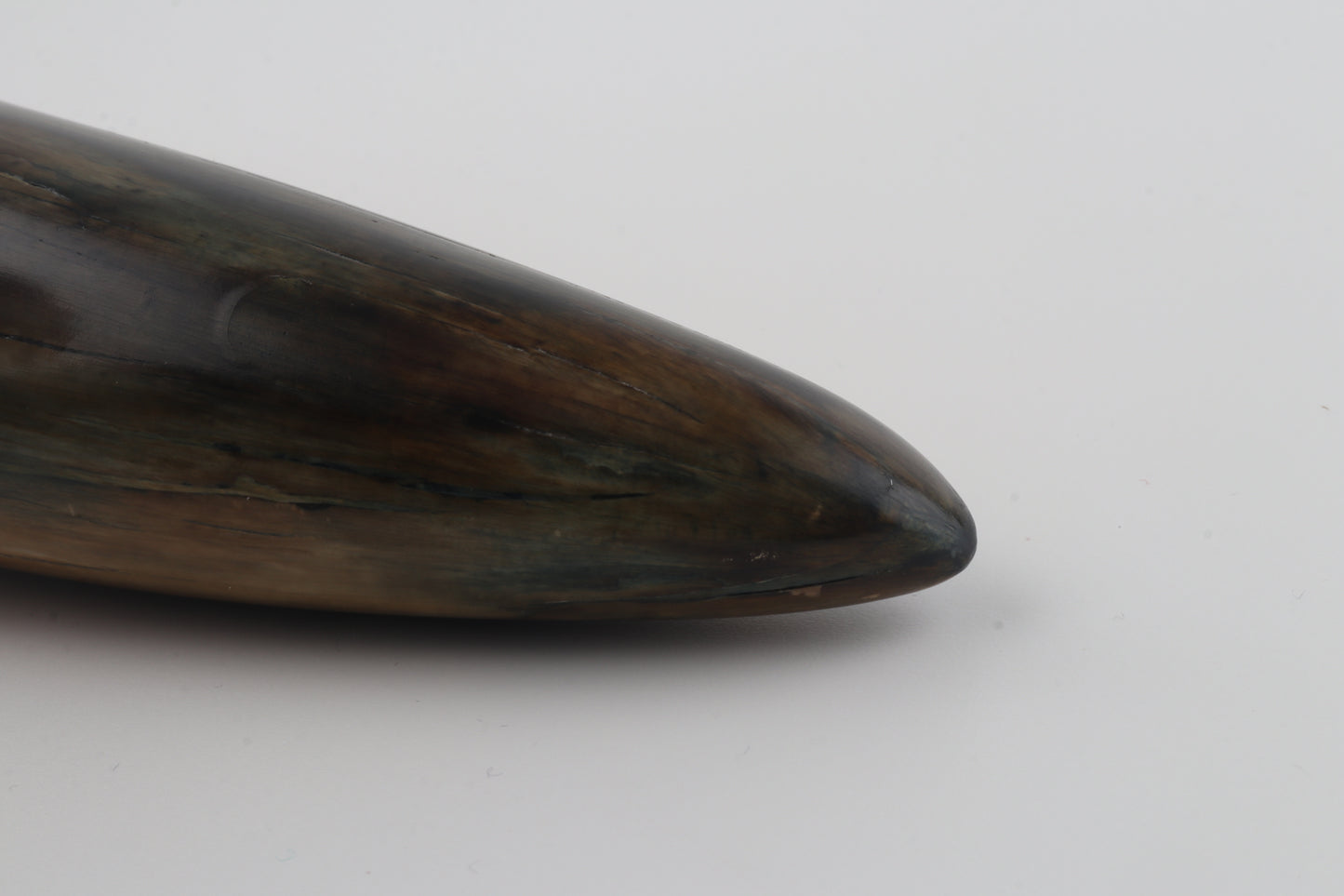 Restored woolly mammoth tusk tip