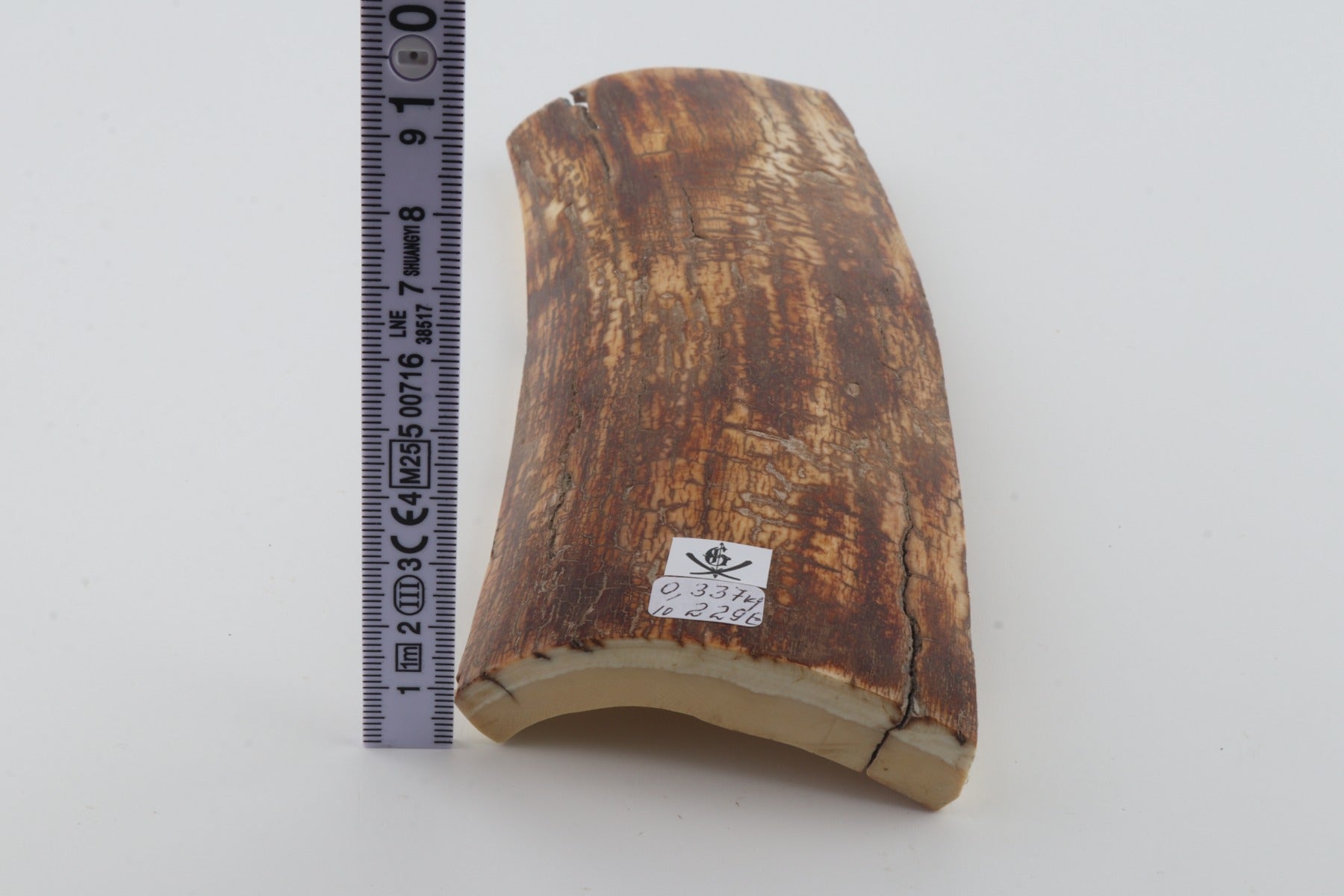 Orange-brown mammoth bark