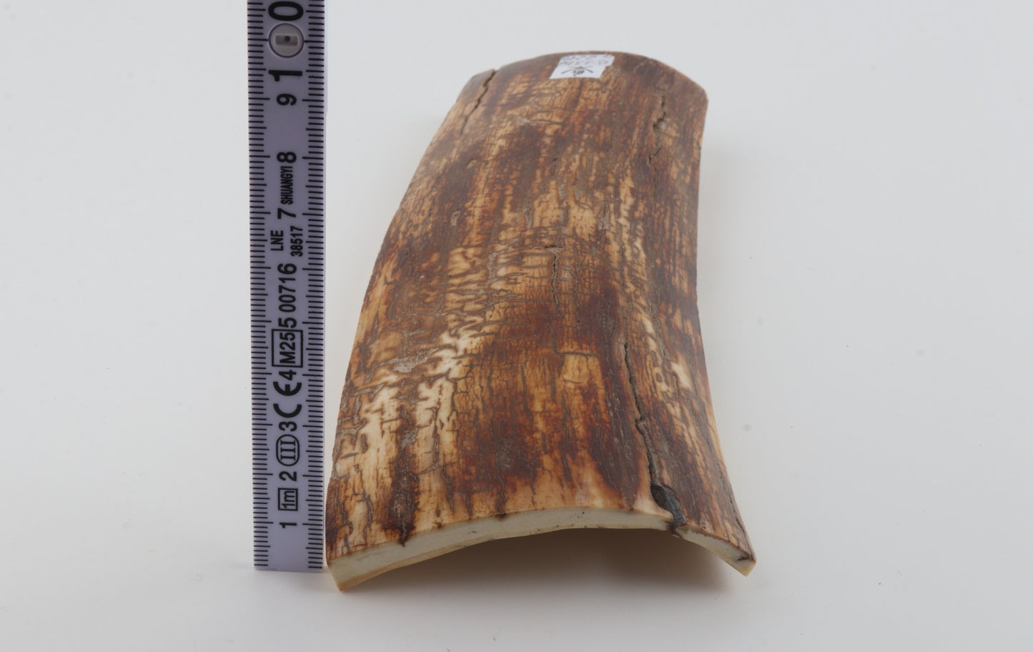 Orange-brown mammoth bark