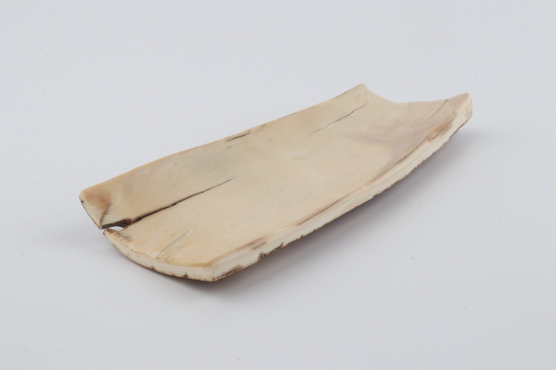 Orange-brown mammoth bark