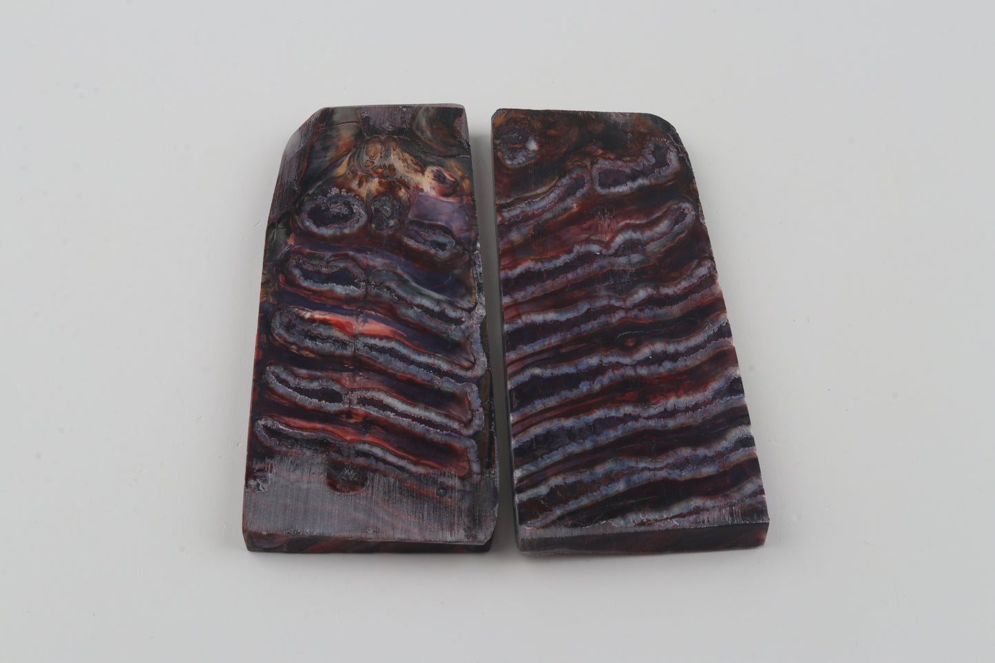 Stabilised mammoth molar scales