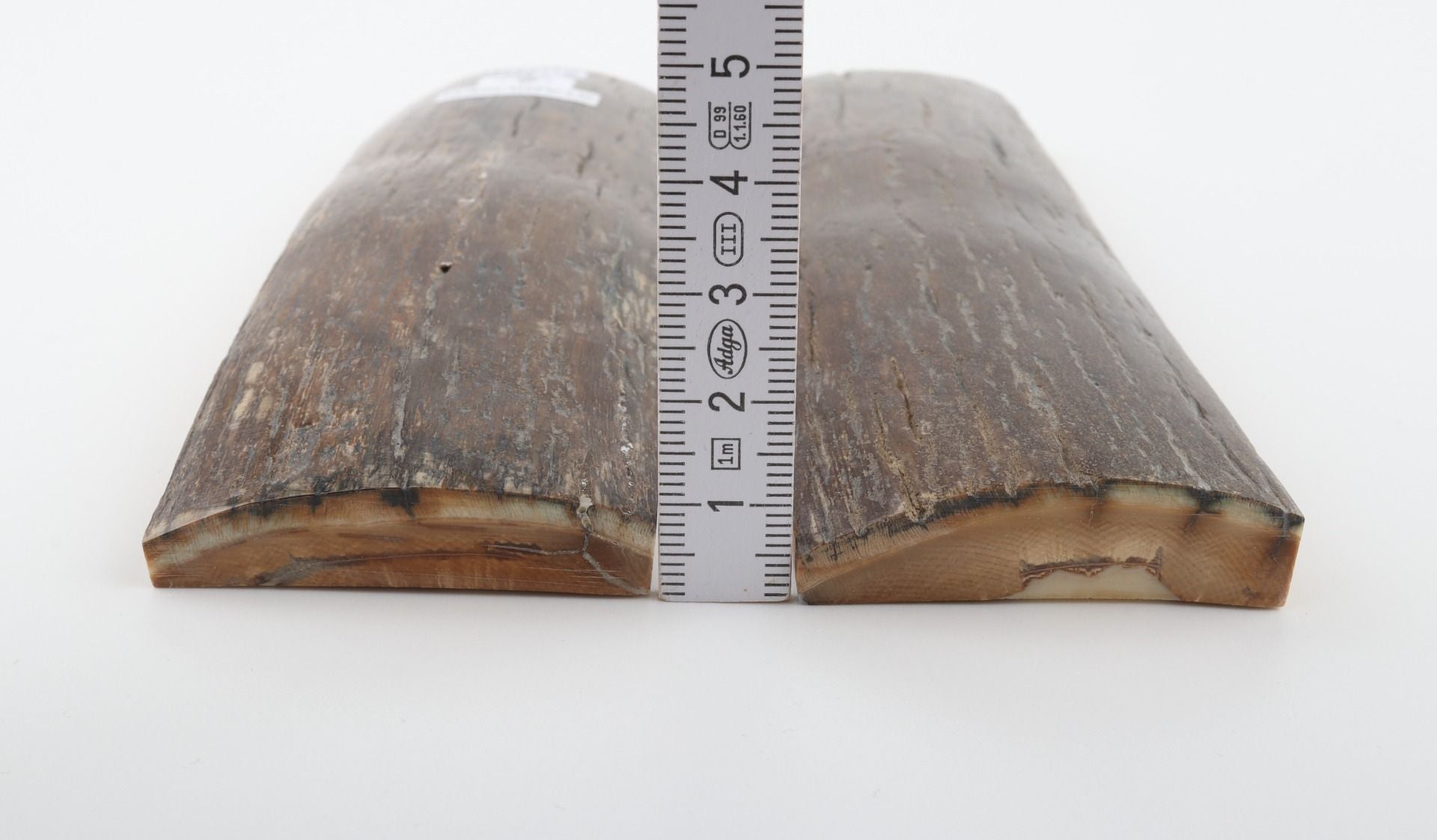 Stabilized mammoth bark scales