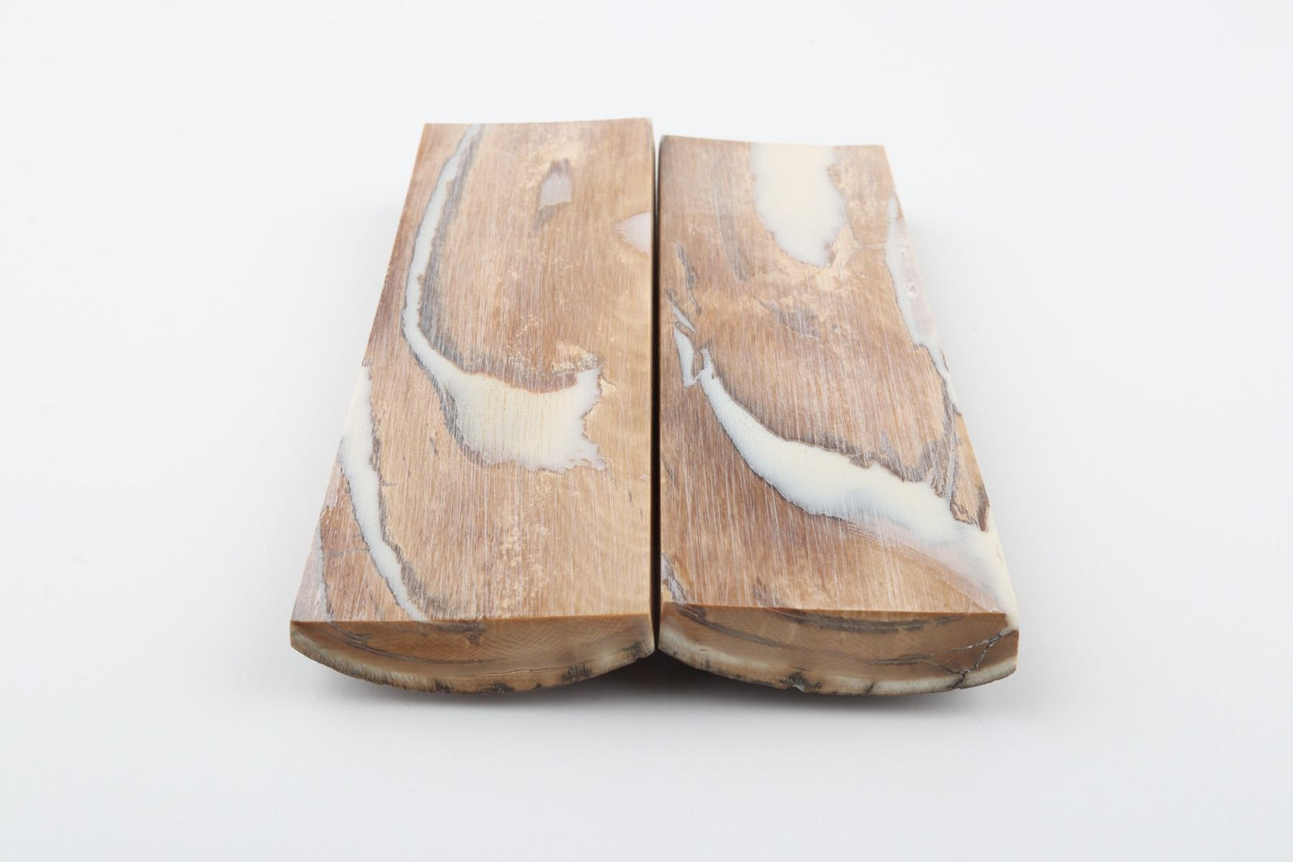 Stabilized mammoth bark scales