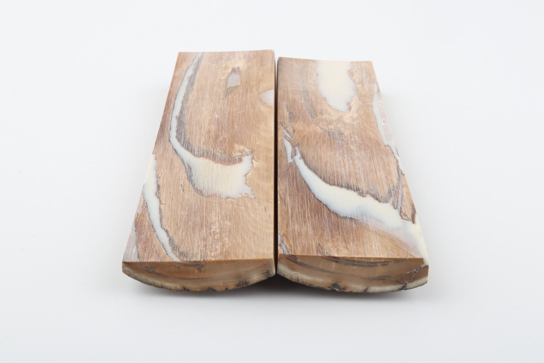 Stabilized mammoth bark scales