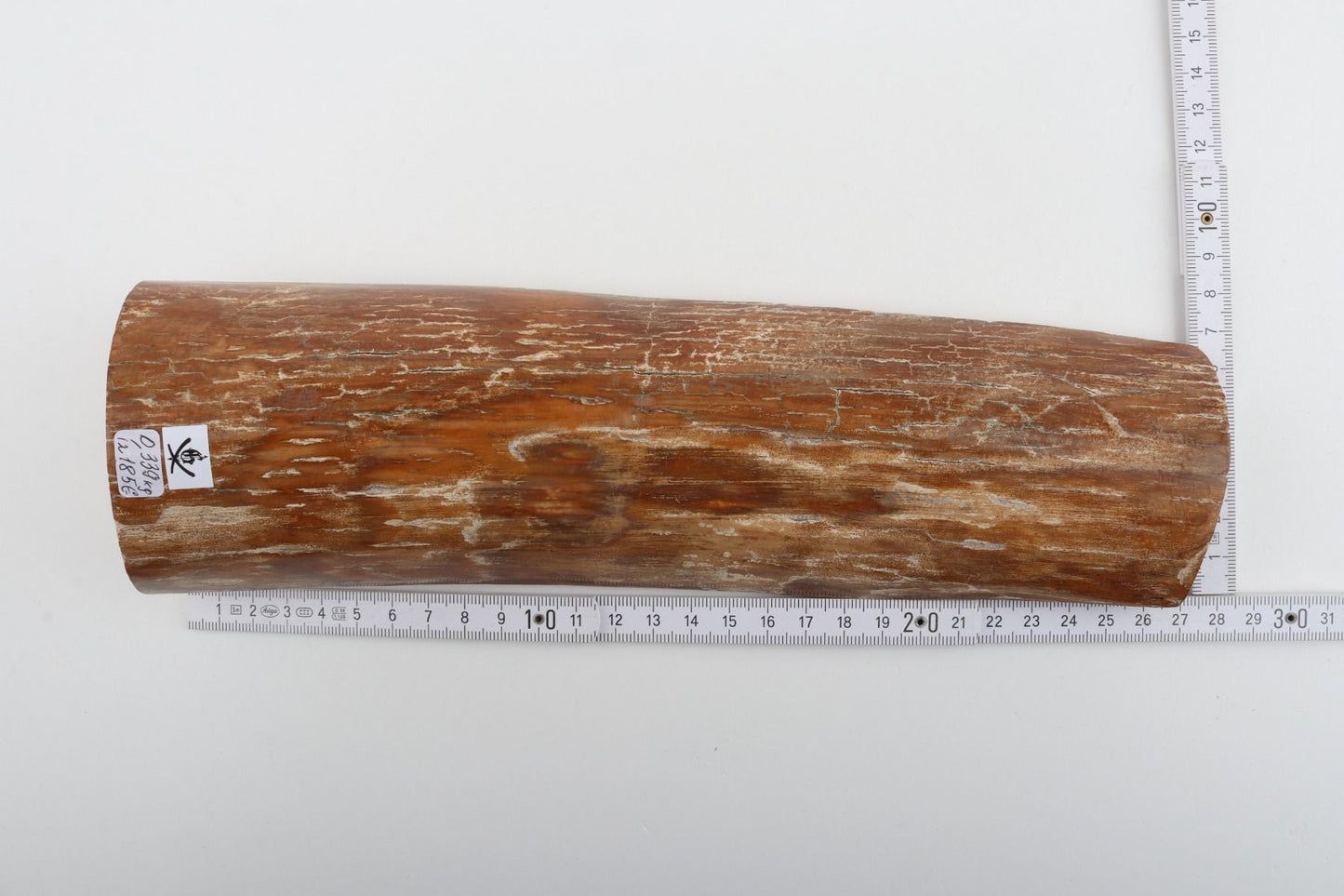 Caramel mammoth bark