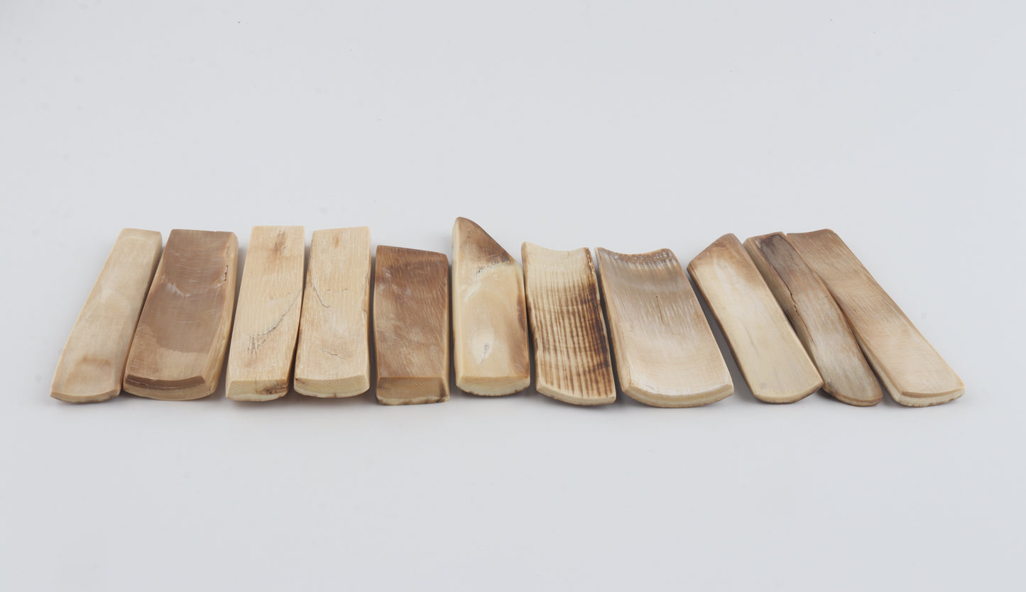 Natural mammoth bark pieces