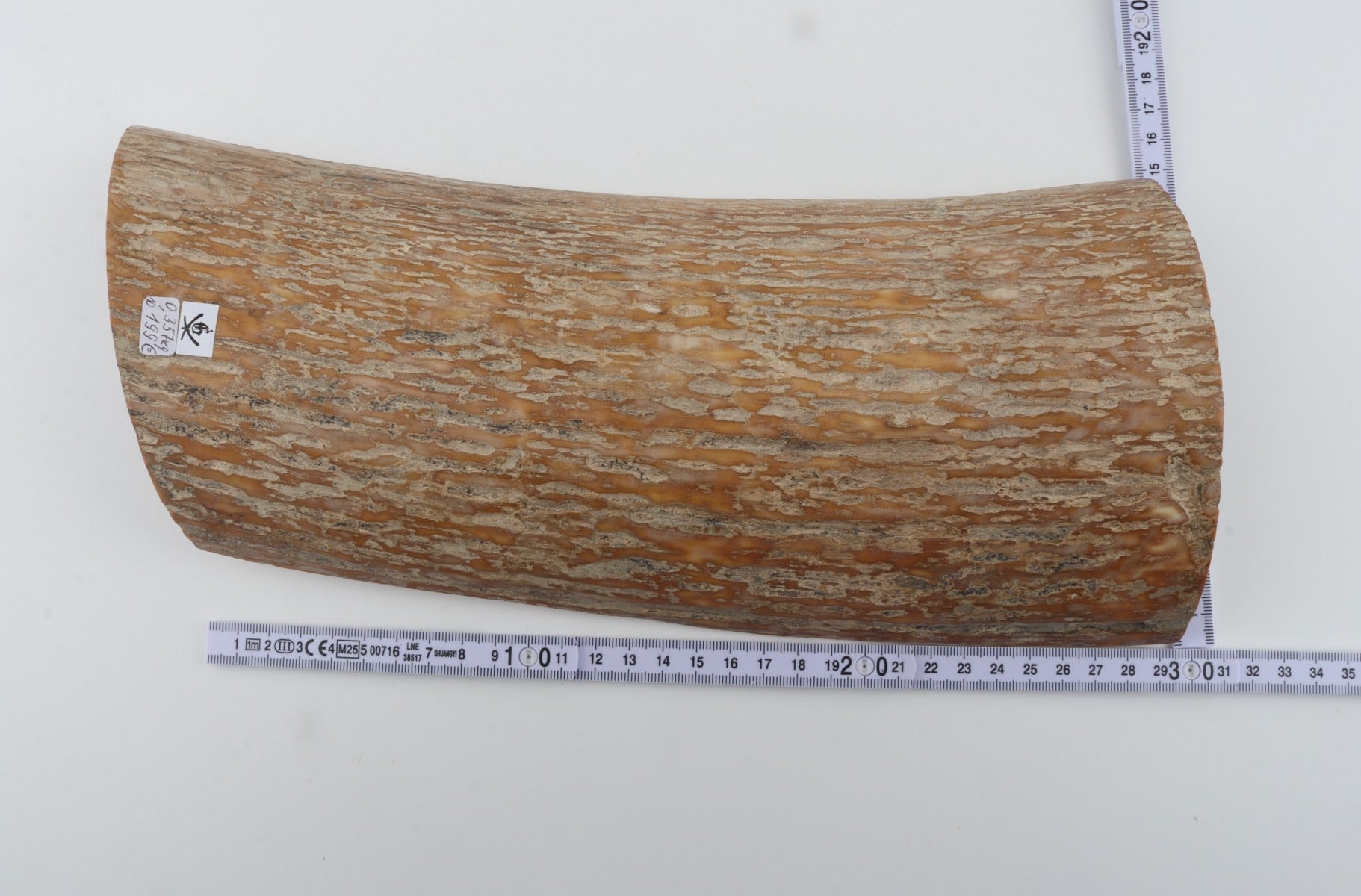 Caramel mammoth bark