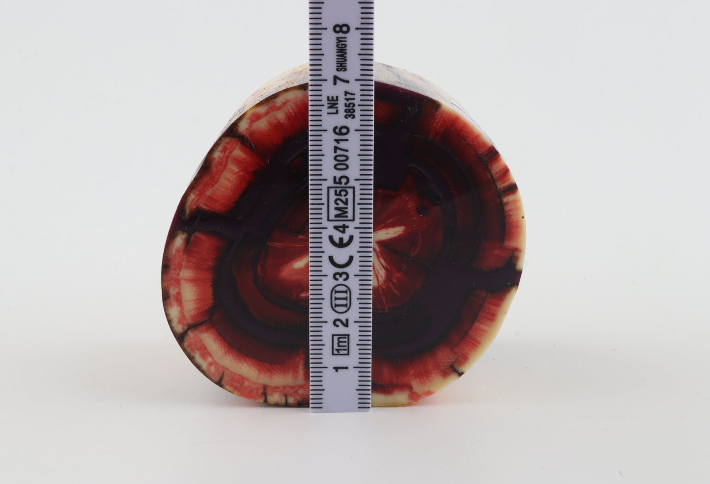 Stabilized mammoth tusk piece