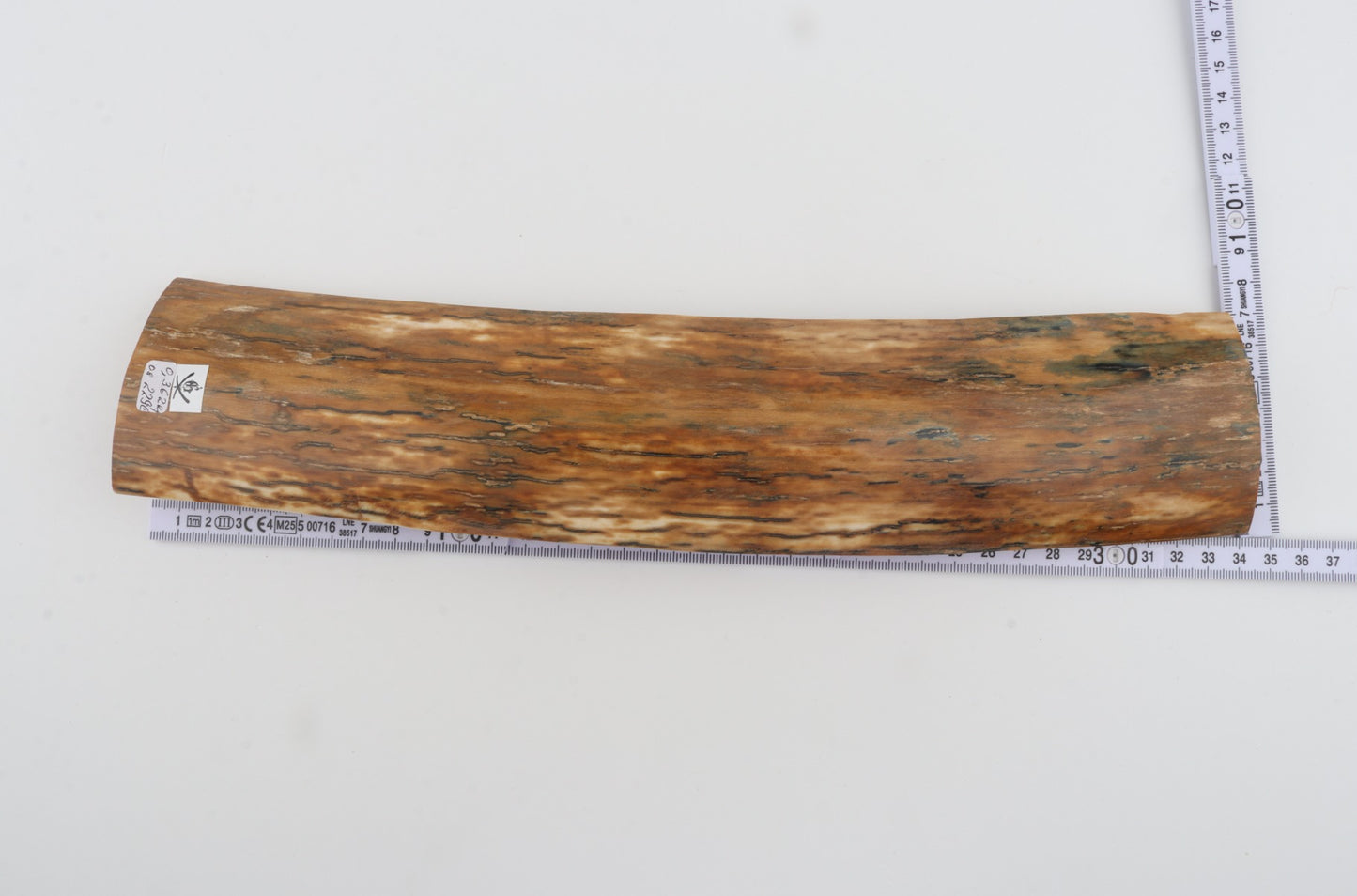 Orange mammoth bark