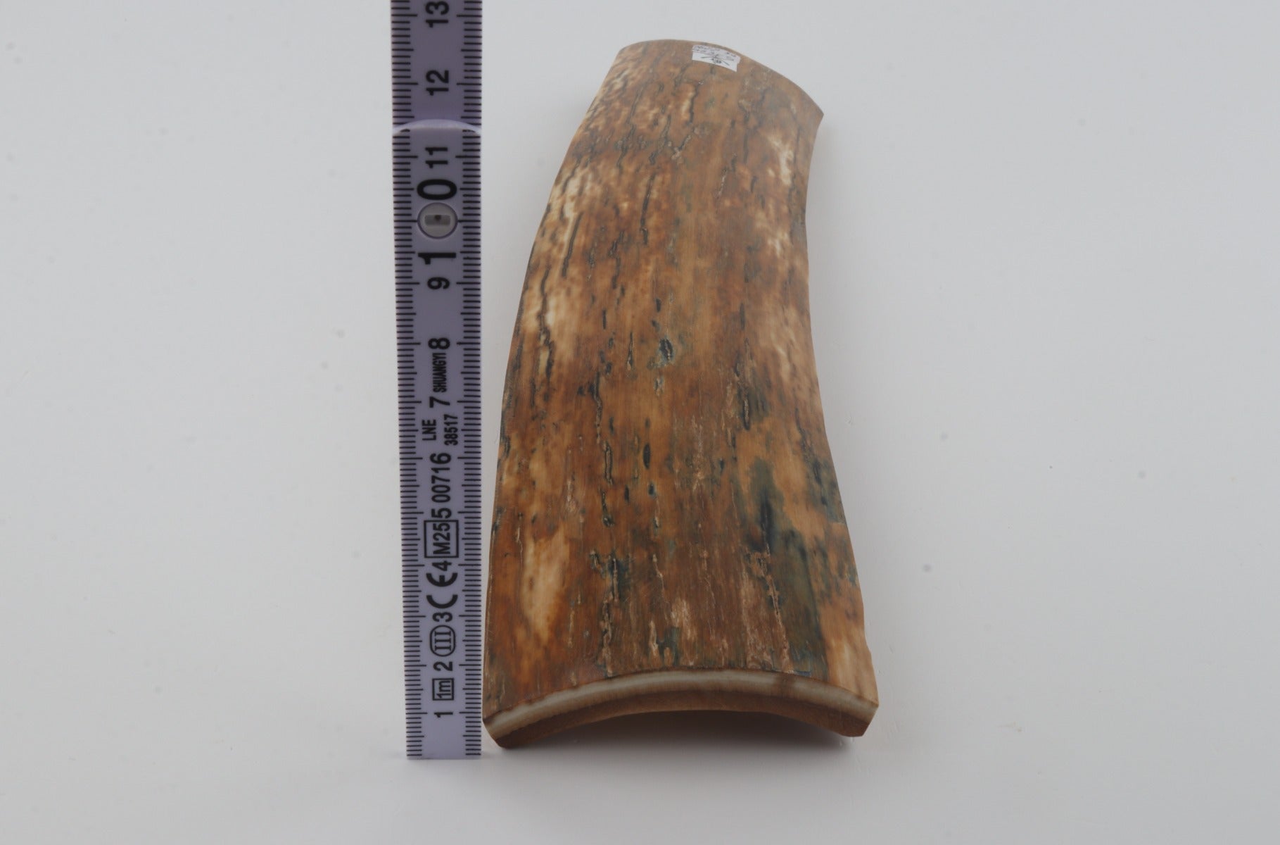 Orange mammoth bark
