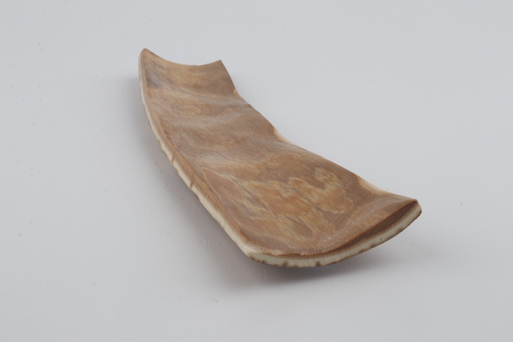 Orange mammoth bark