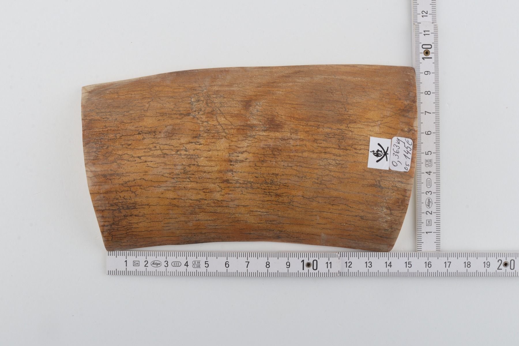 Natural mammoth ivory piece
