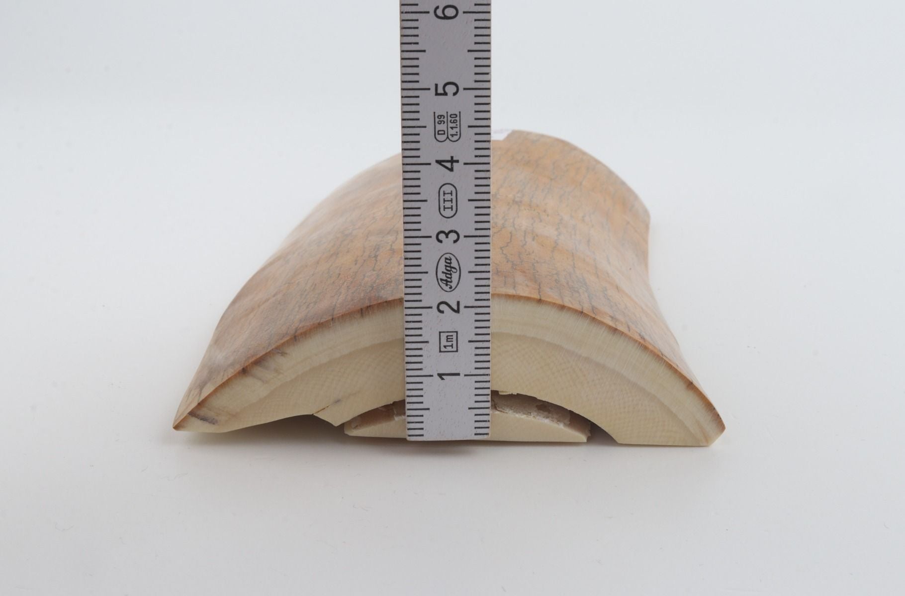 Natural mammoth ivory piece