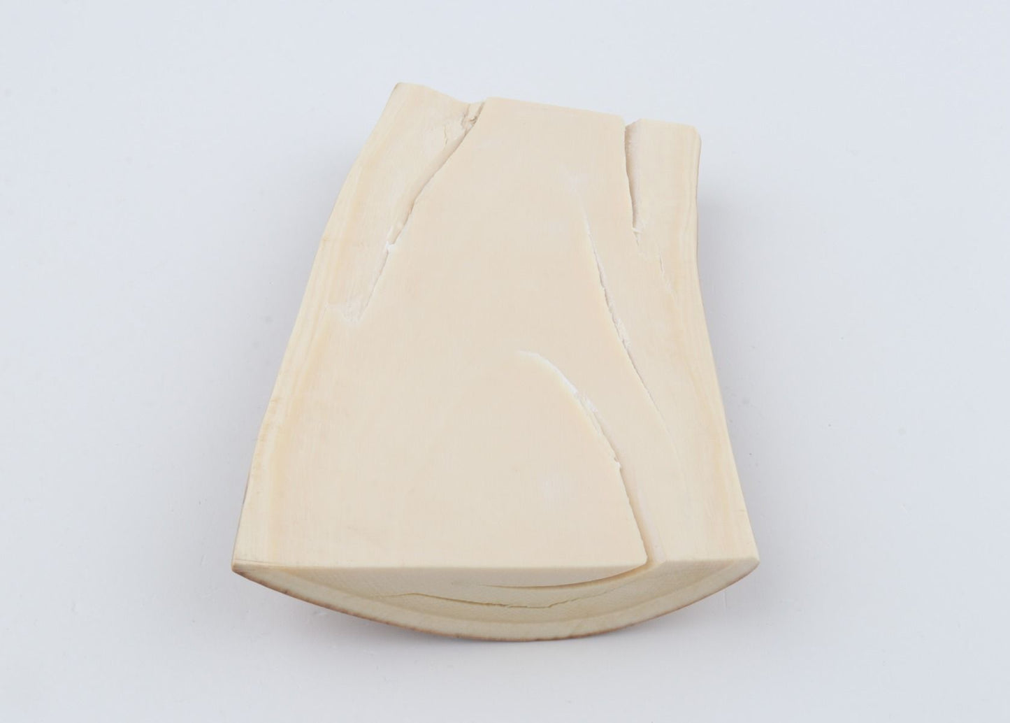 Natural mammoth ivory piece