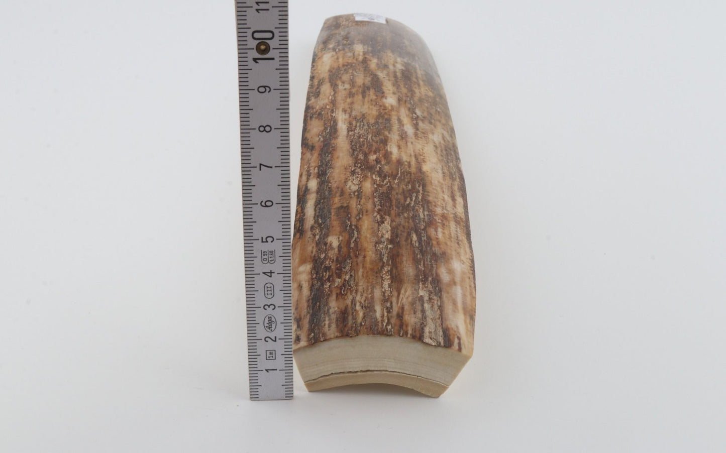 Beige-brown mammoth bark