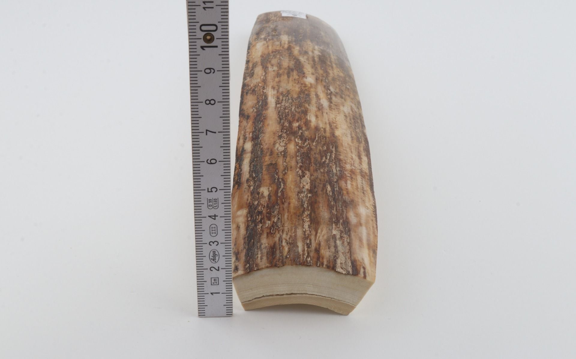 Beige-brown mammoth bark