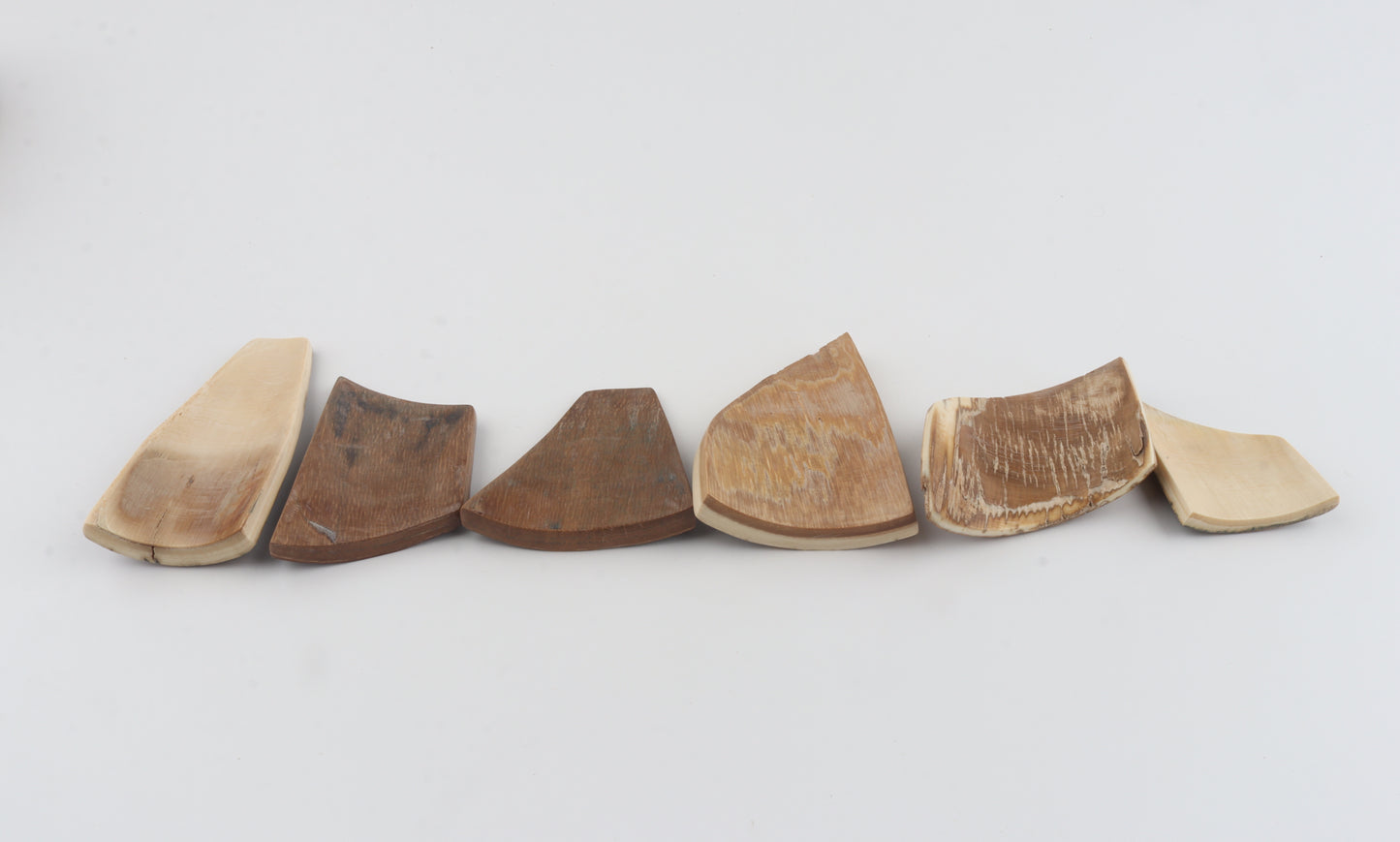 Natural mammoth bark pieces