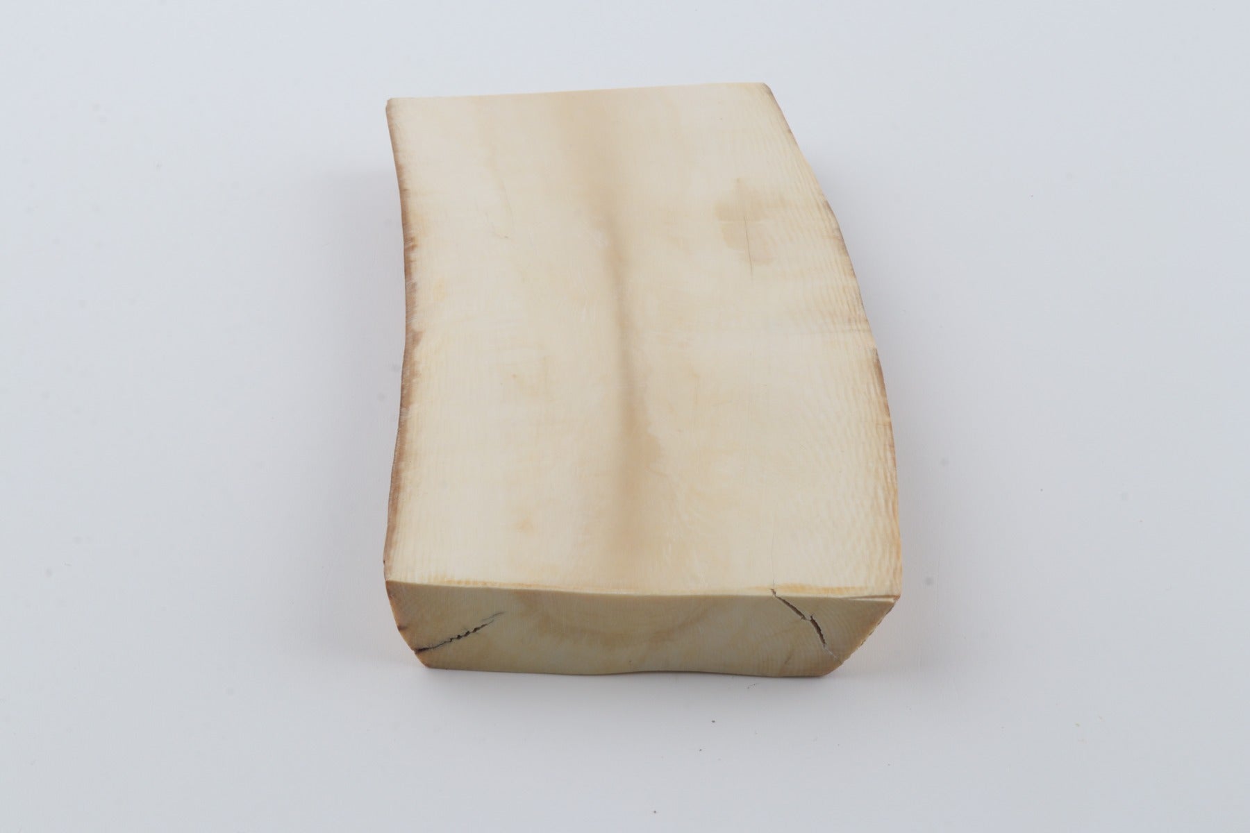 White mammoth ivory segment