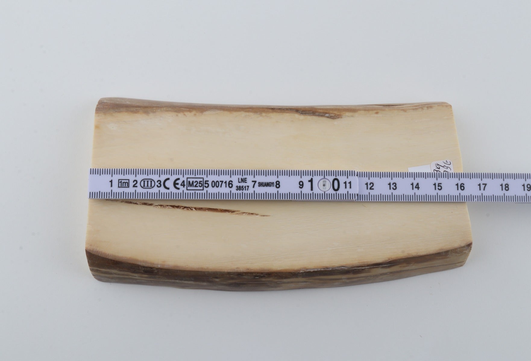 White mammoth ivory segment
