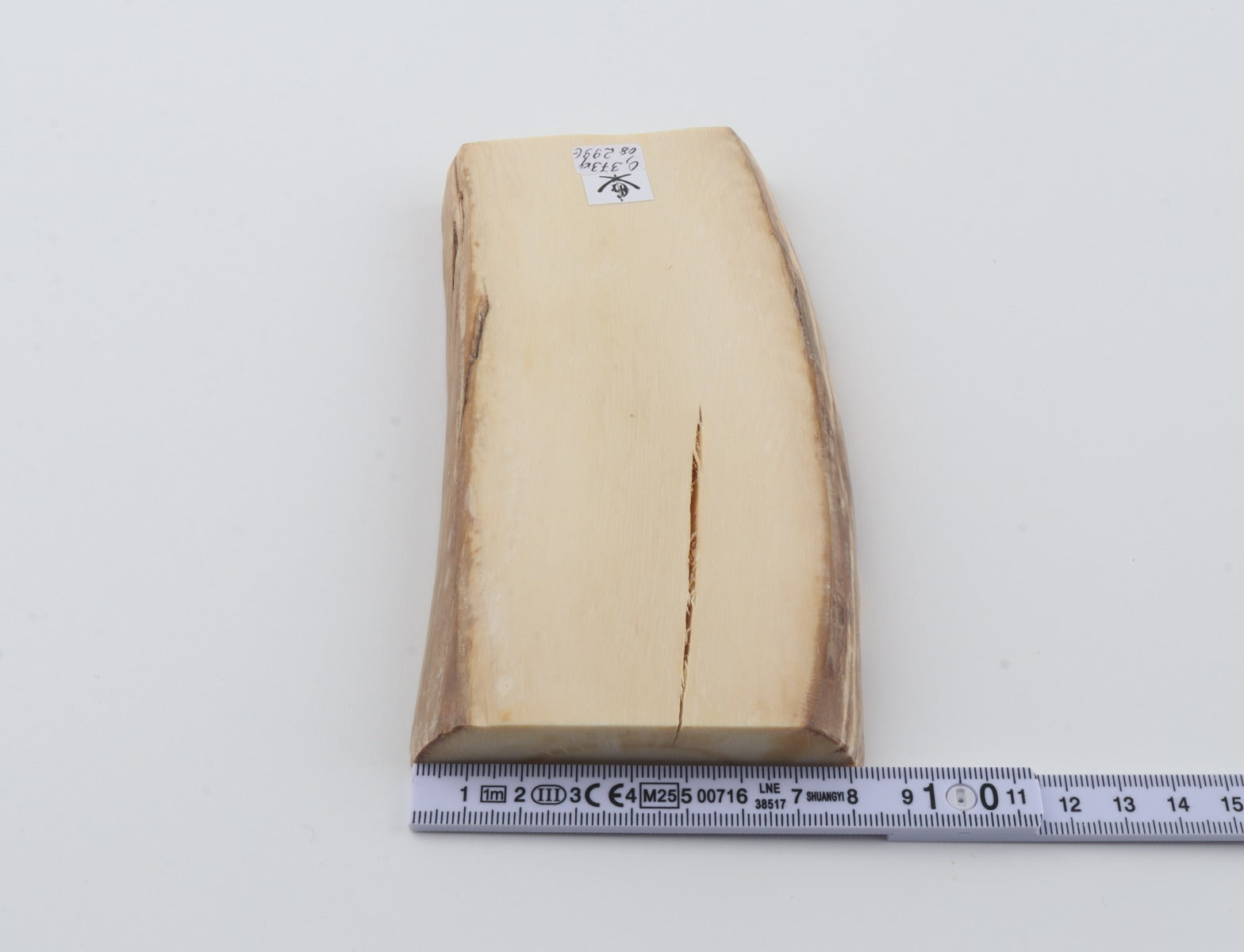 White mammoth ivory segment