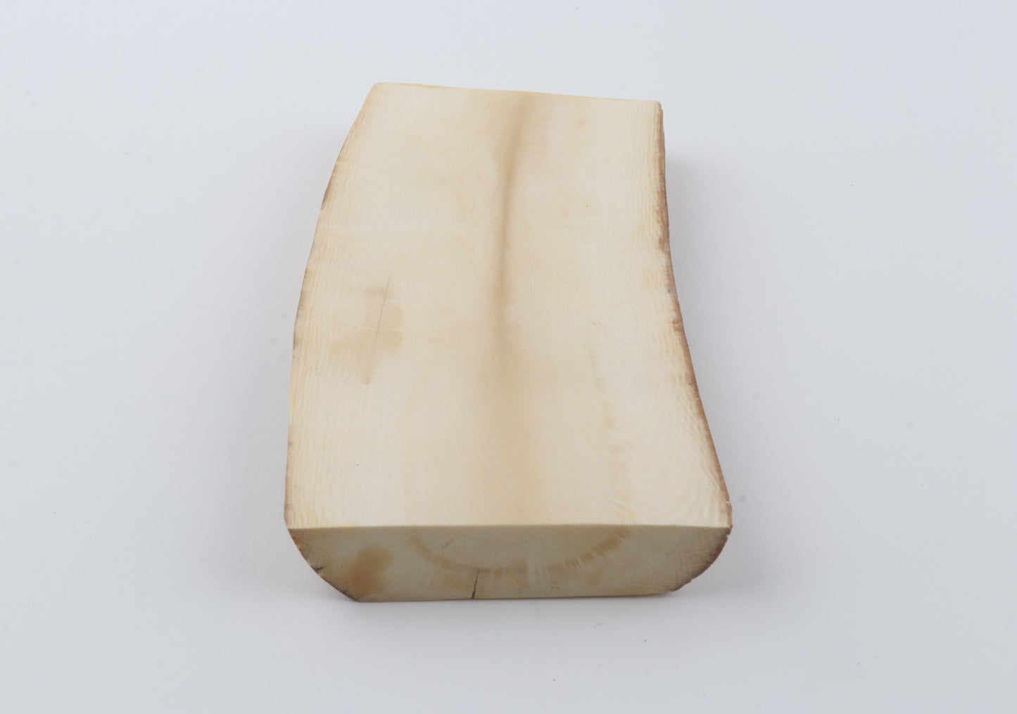 White mammoth ivory segment