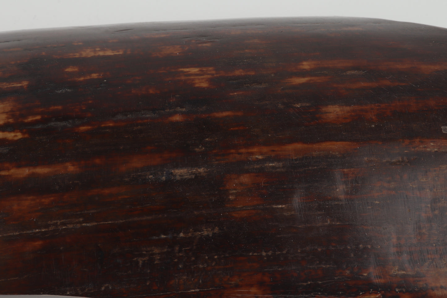 Red-brown mammoth bark