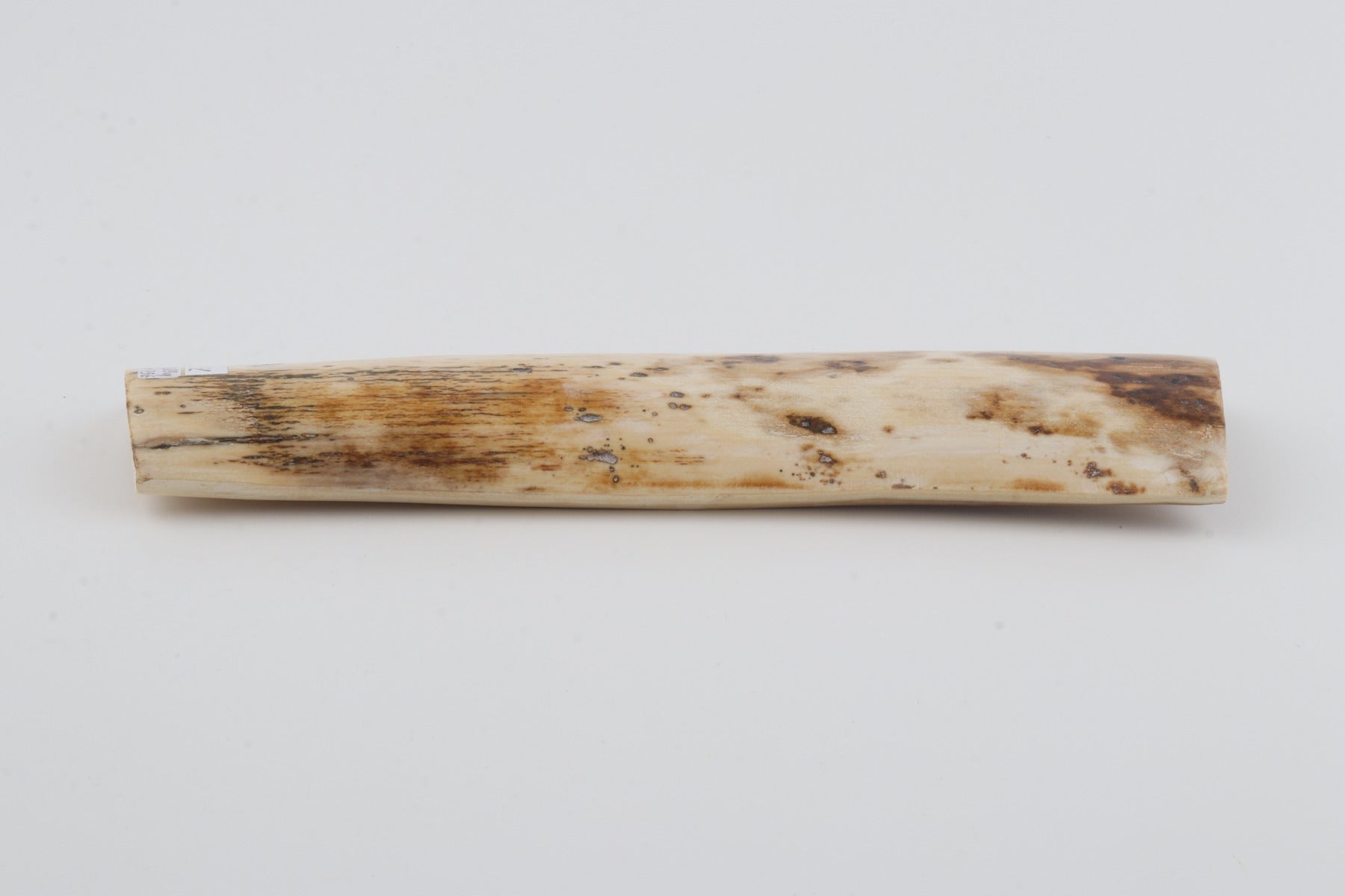Natural mammoth bark
