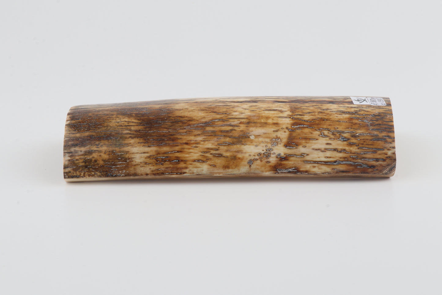 Brown-orange mammoth bark