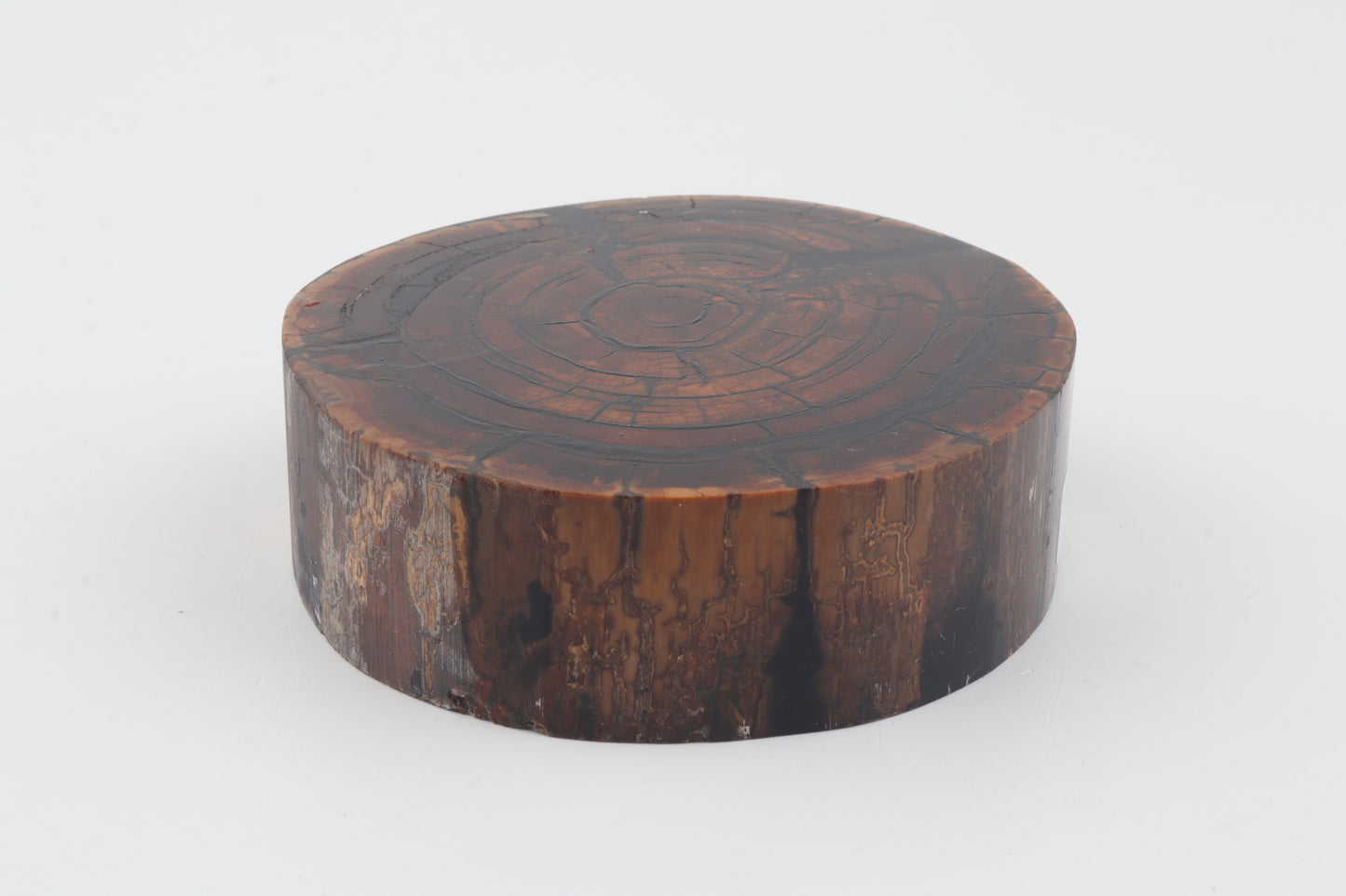 Stabilised mammoth ivory block