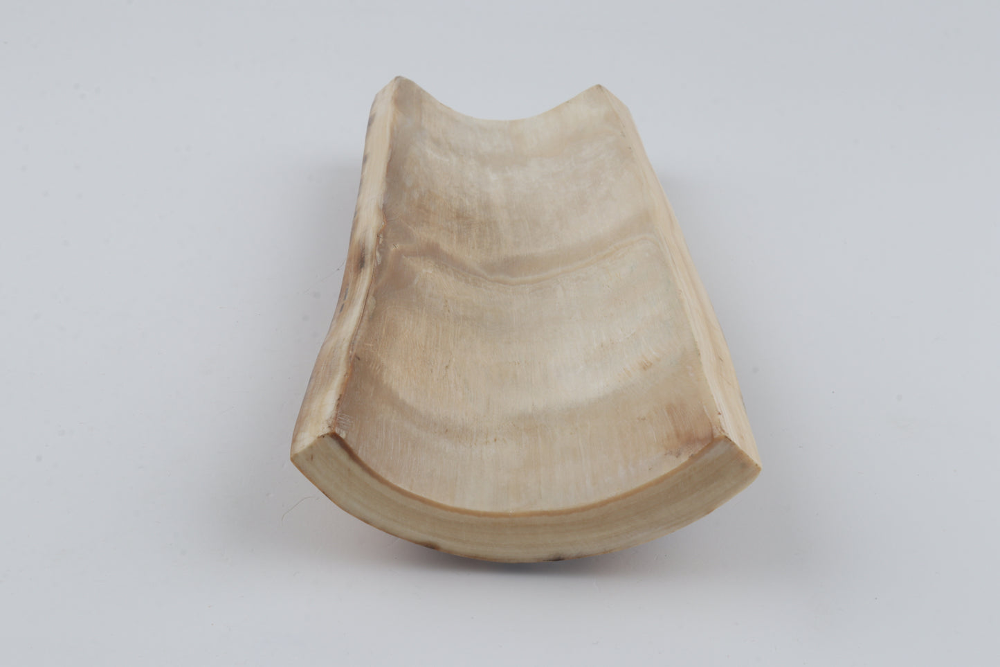 Mustard mammoth bark