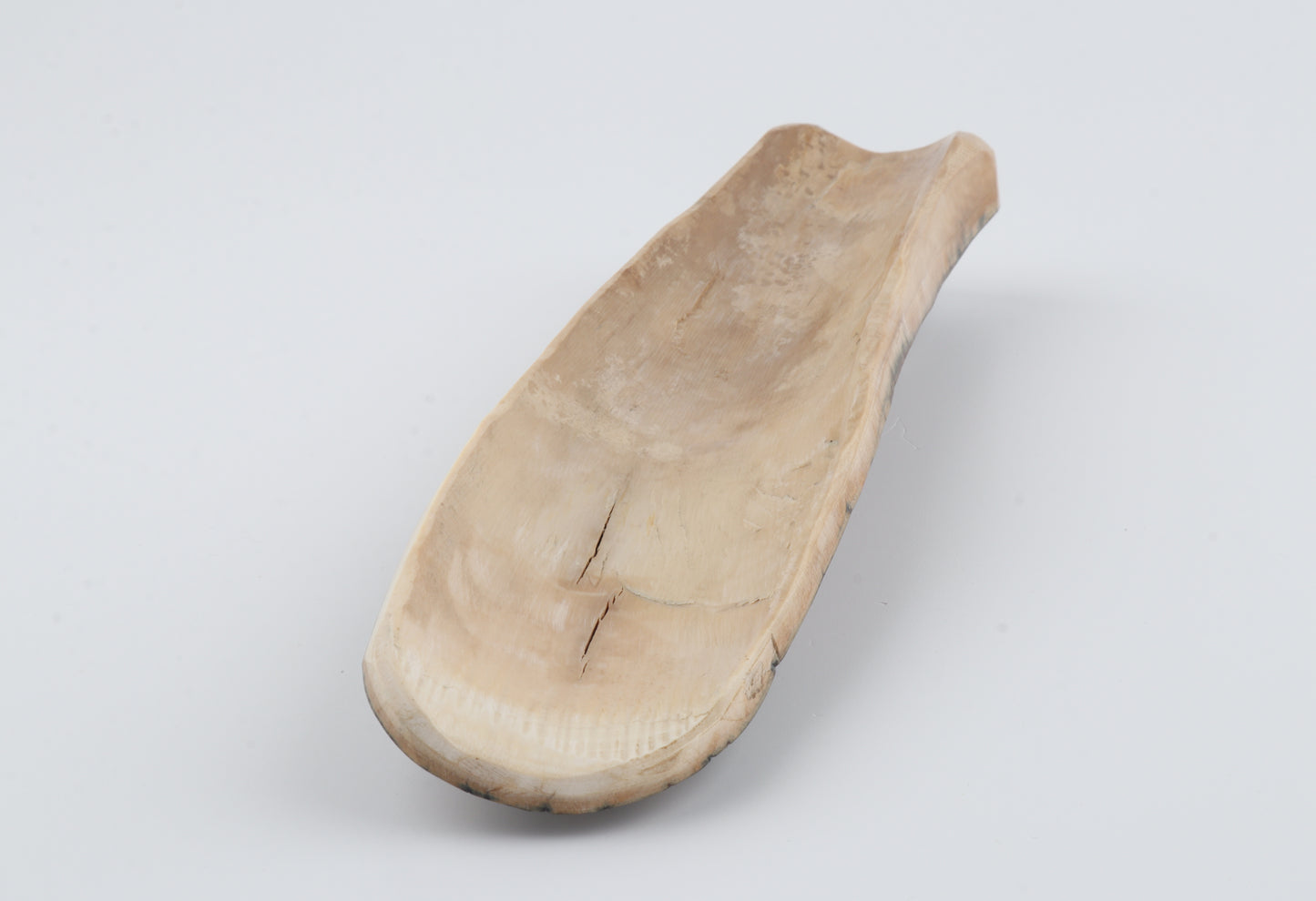 Beige-blue mammoth bark