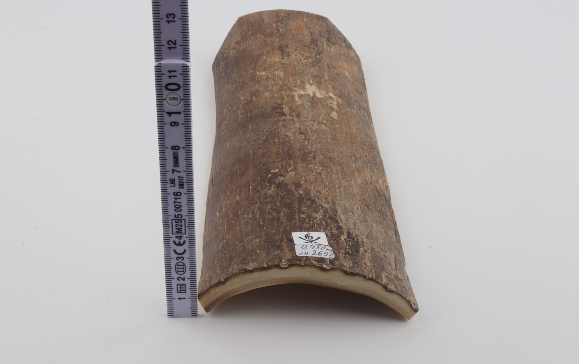 Beige mammoth bark