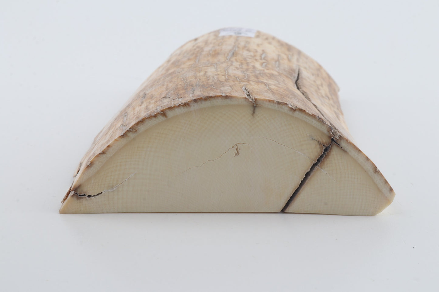 Natural mammoth ivory piece