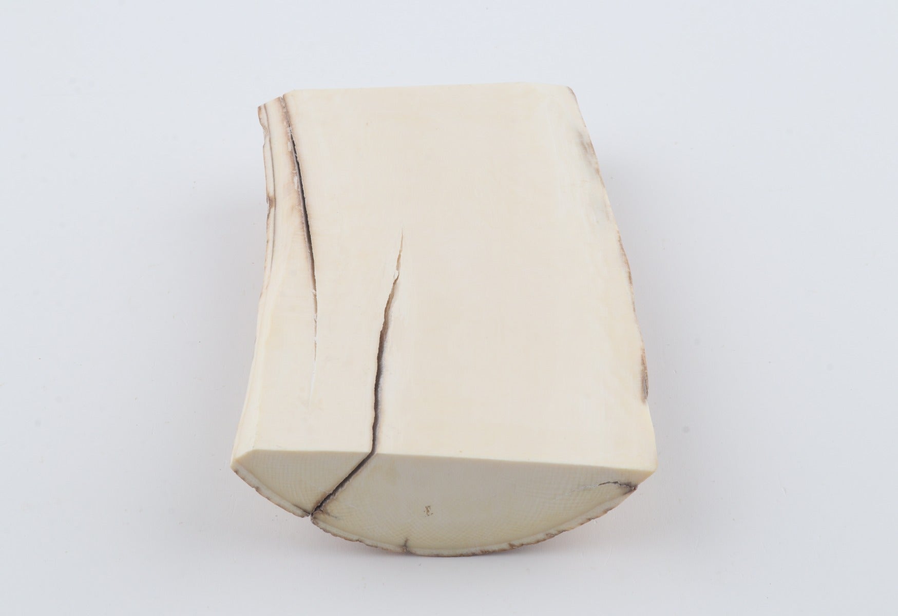 Natural mammoth ivory piece