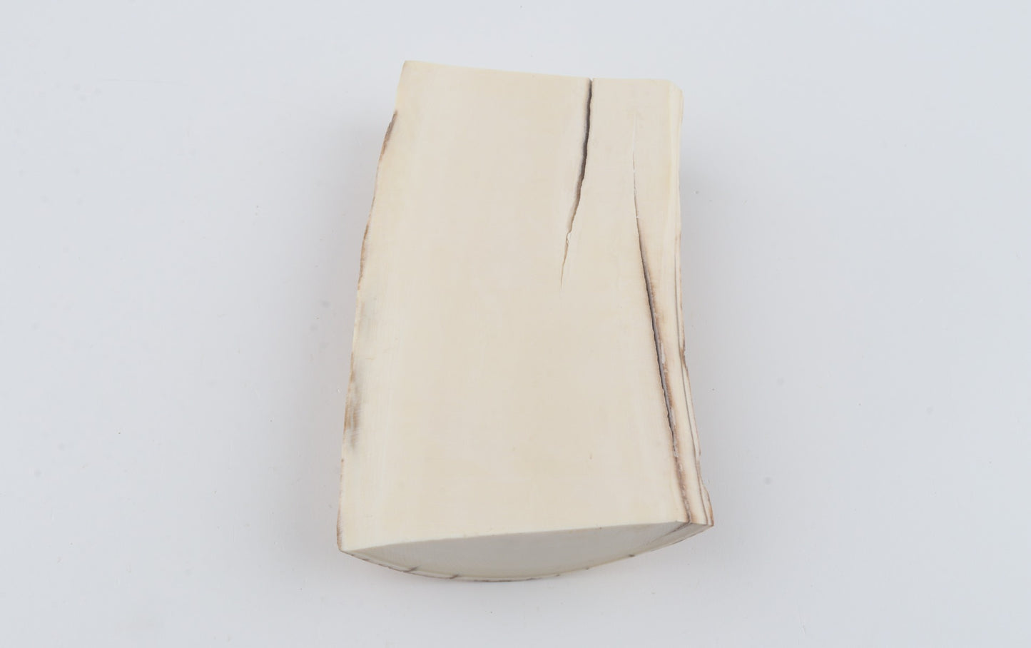 Natural mammoth ivory piece