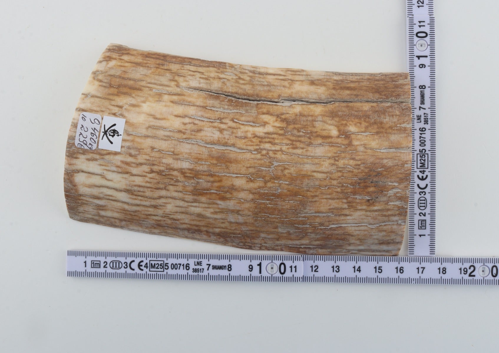 Natural mammoth ivory piece