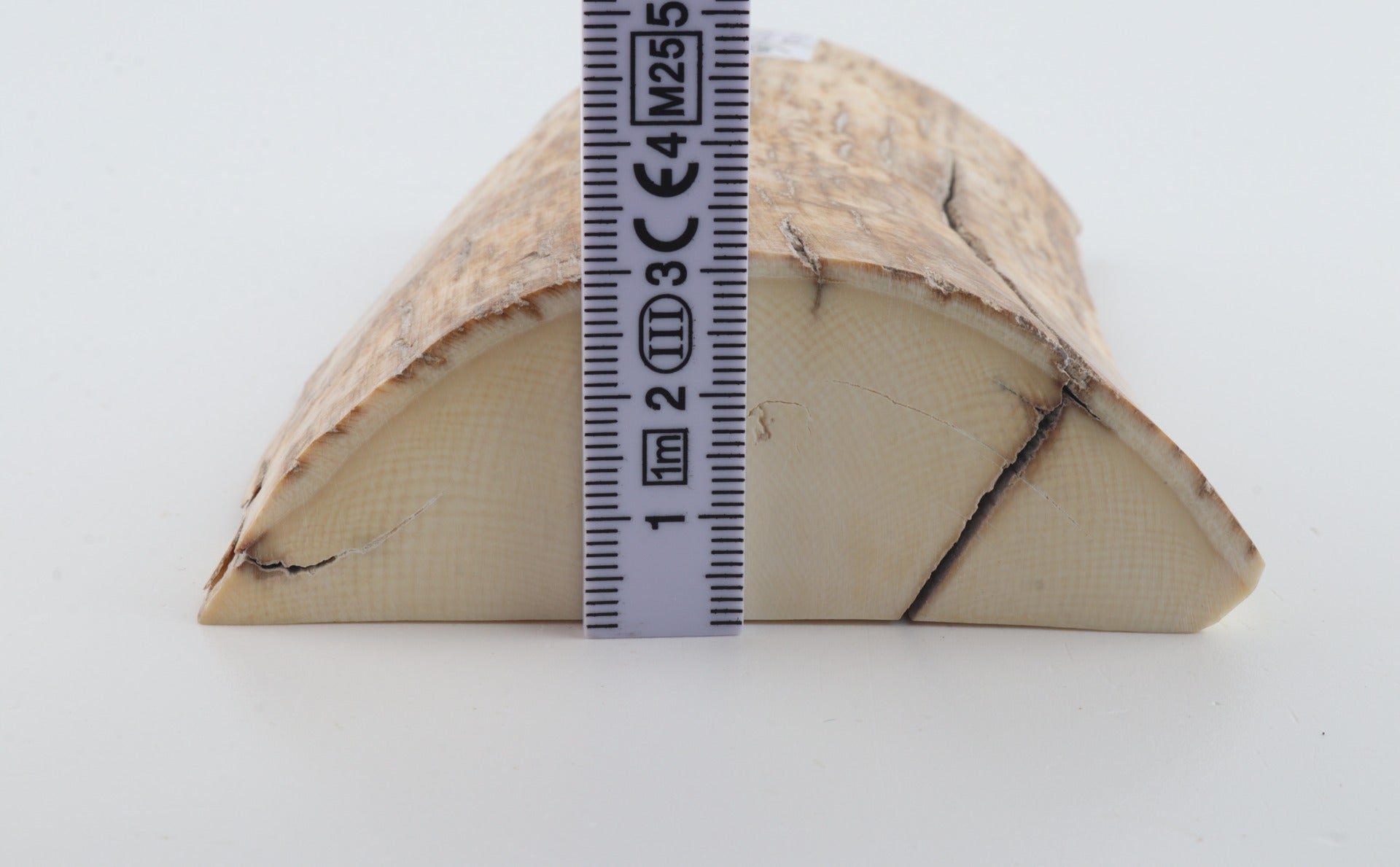 Natural mammoth ivory piece