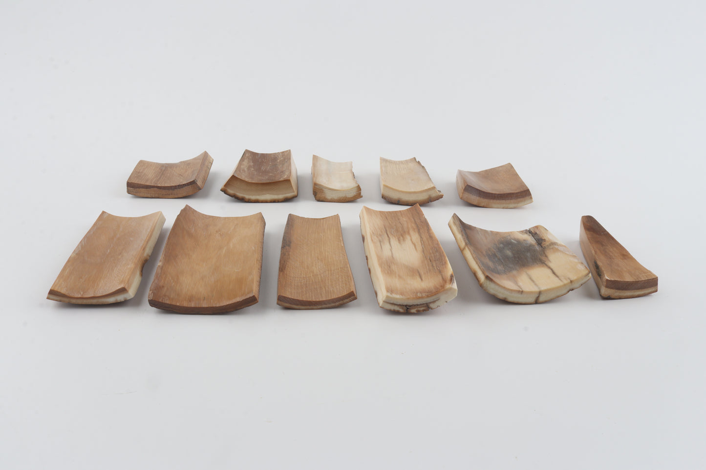 Beige-brown mammoth bark pieces