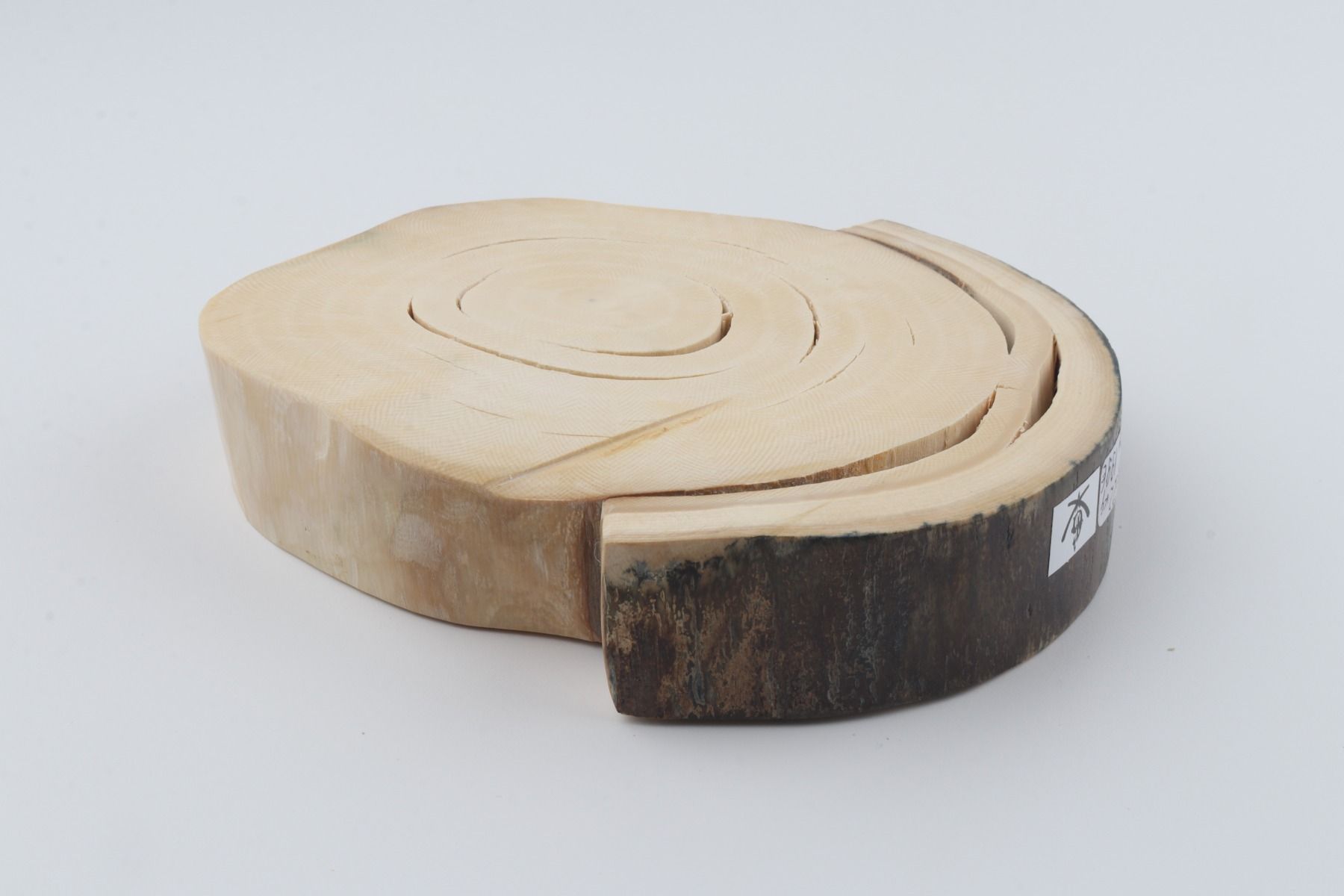 Round mammoth ivory piece
