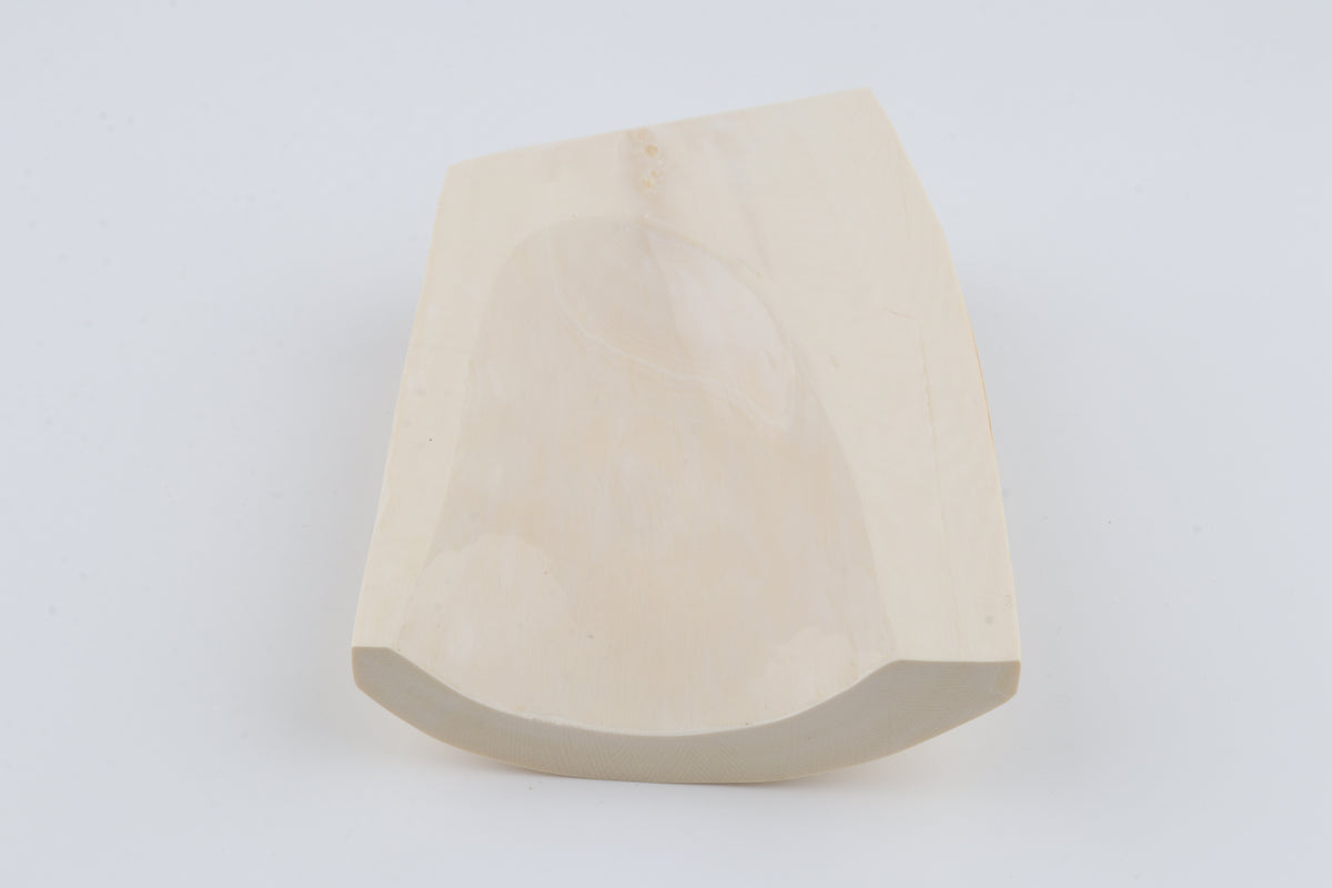 White mammoth ivory segment