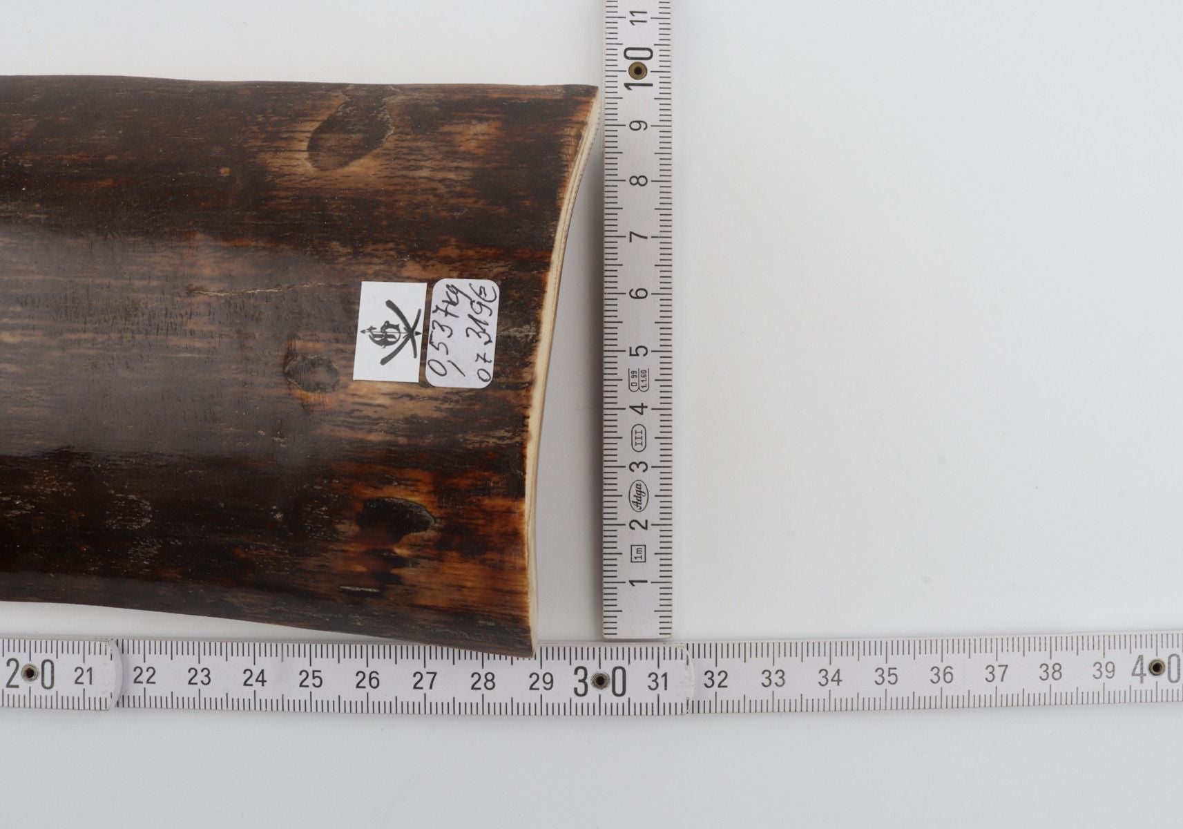 Brown mammoth bark