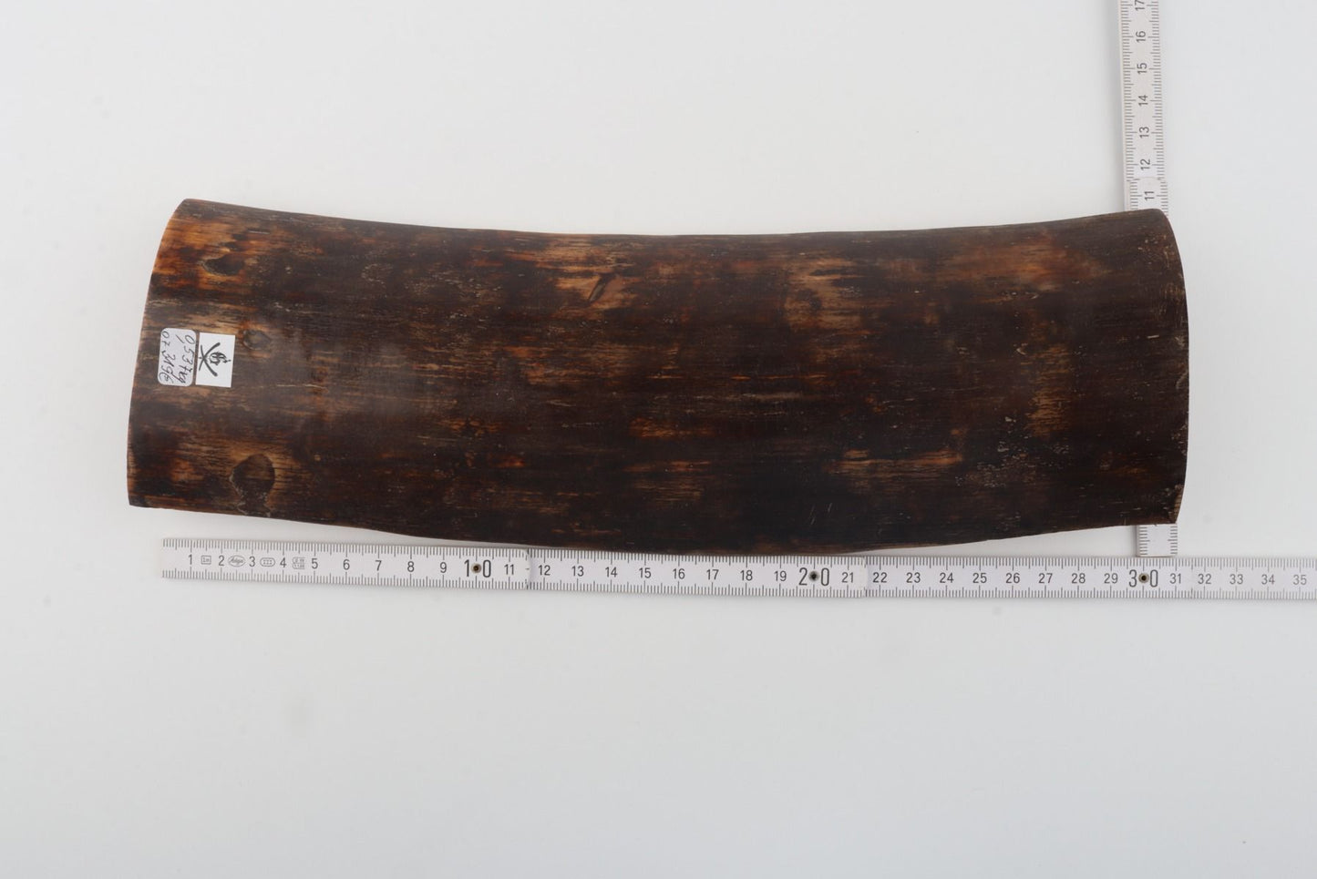Brown mammoth bark