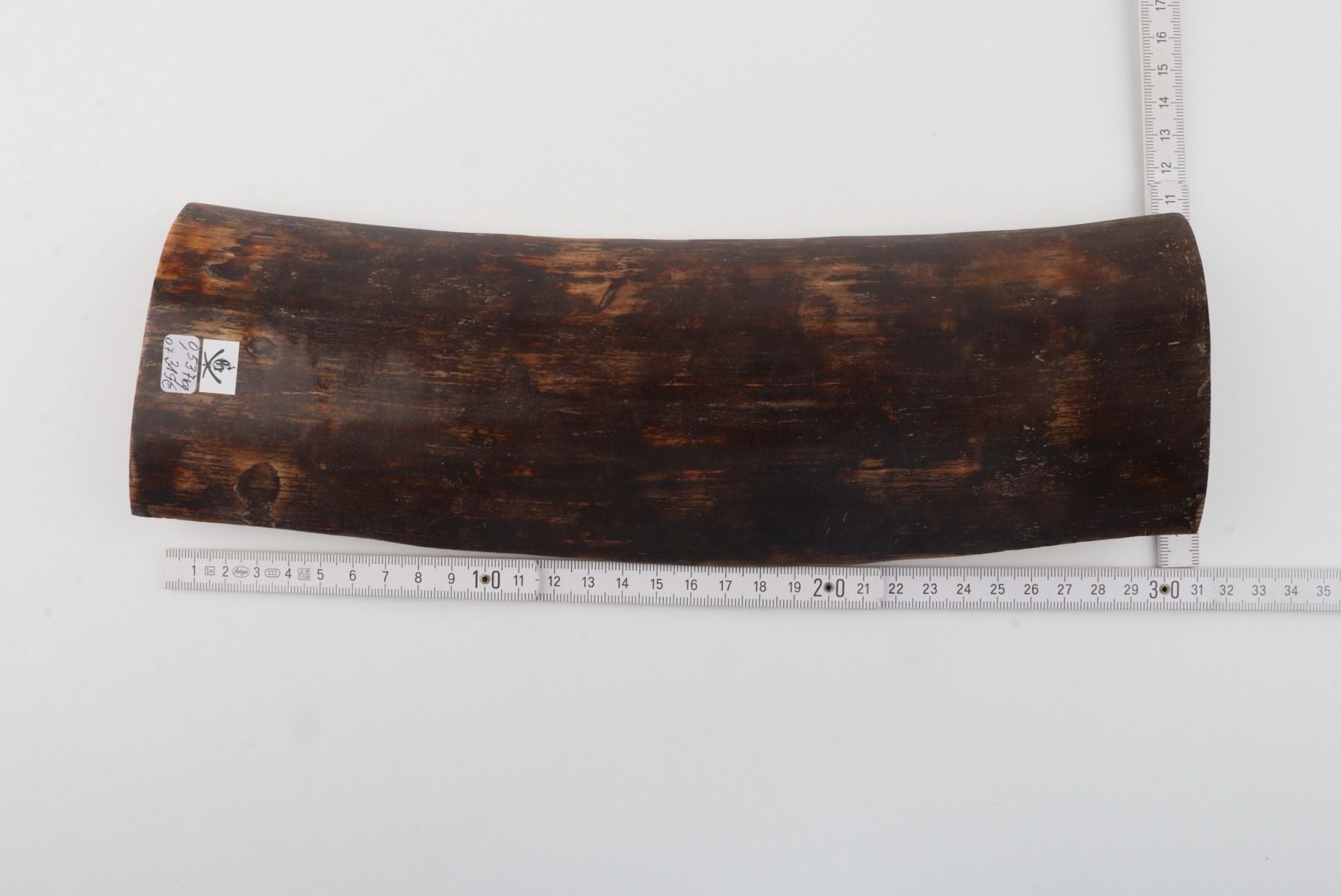Brown mammoth bark