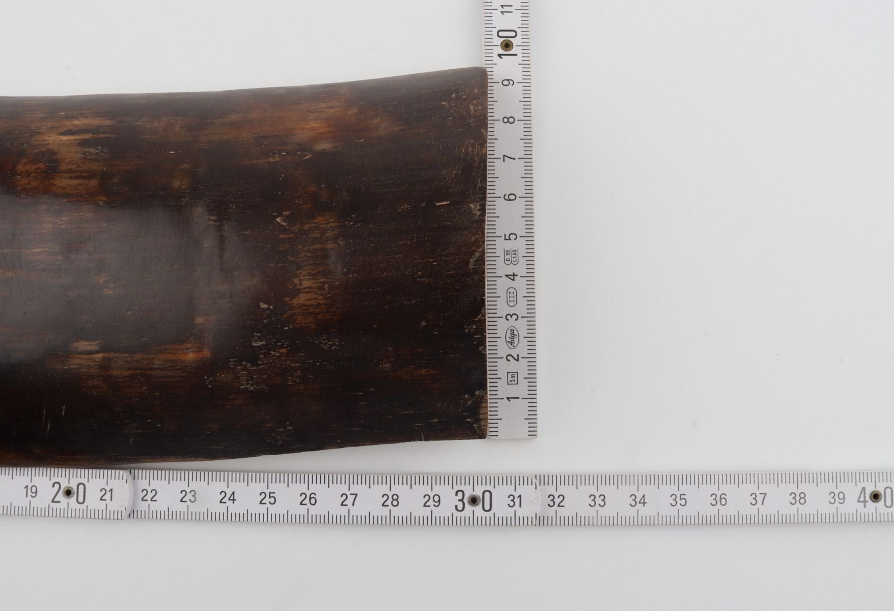 Brown mammoth bark