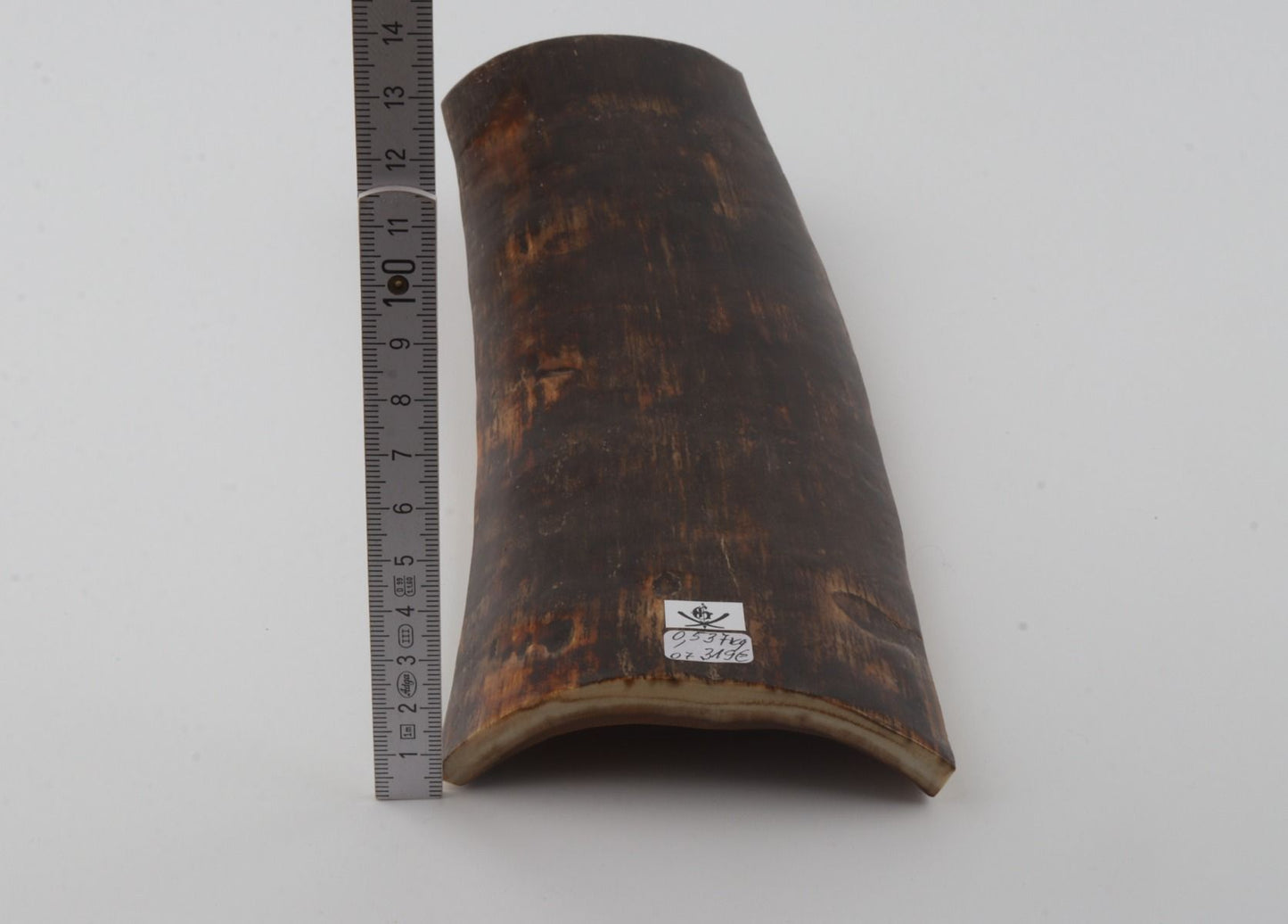 Brown mammoth bark