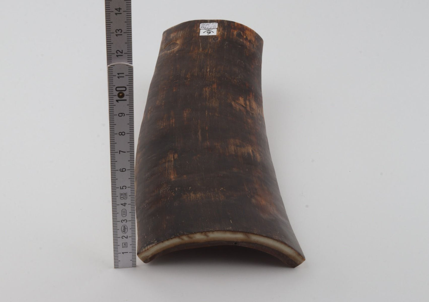 Brown mammoth bark