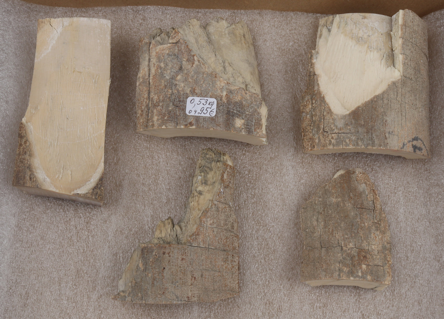 Raw mammoth ivory pieces